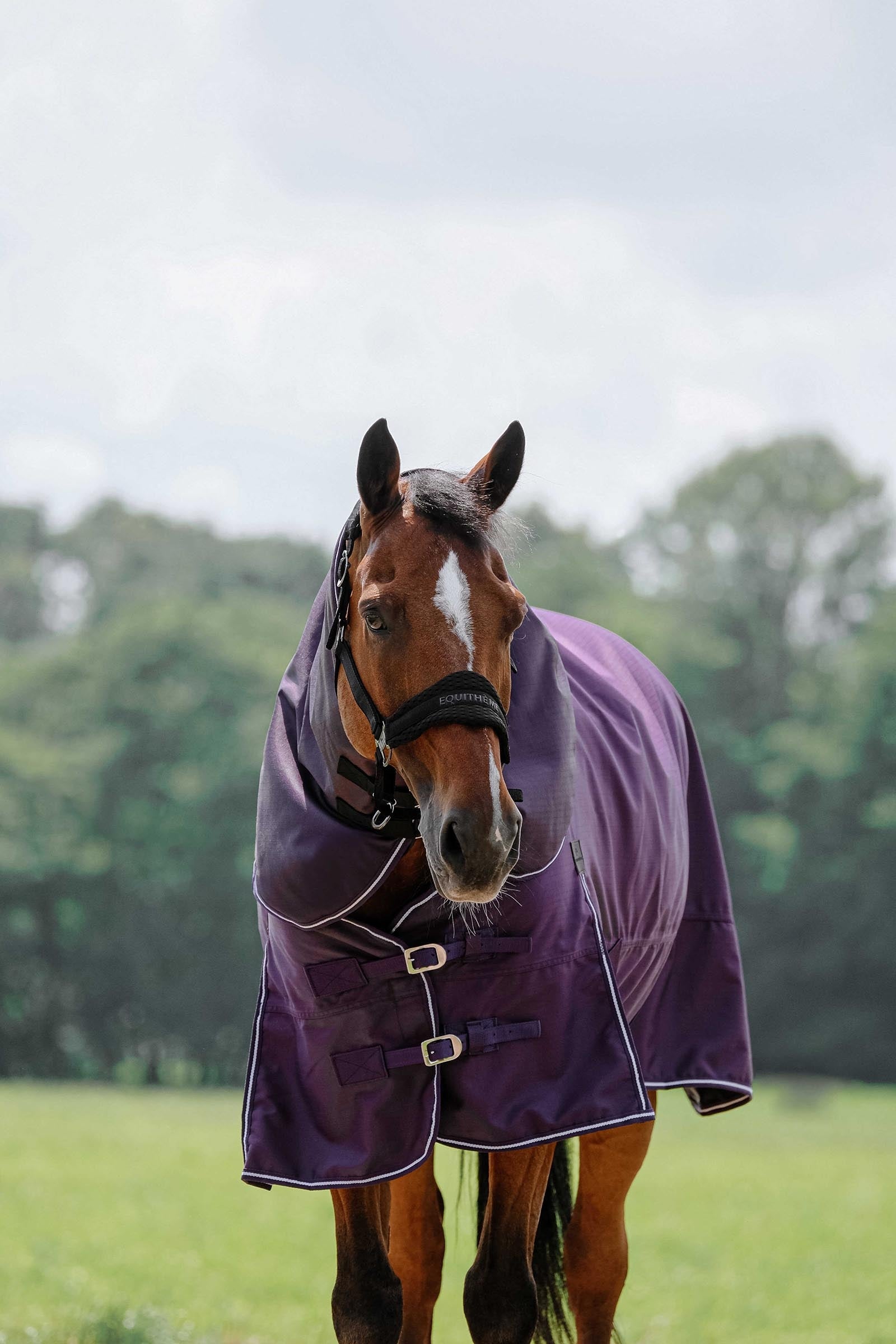 Equi Theme EQUITHÈME TYREX 600D Neck Cover Plume 0g Horse Rugs