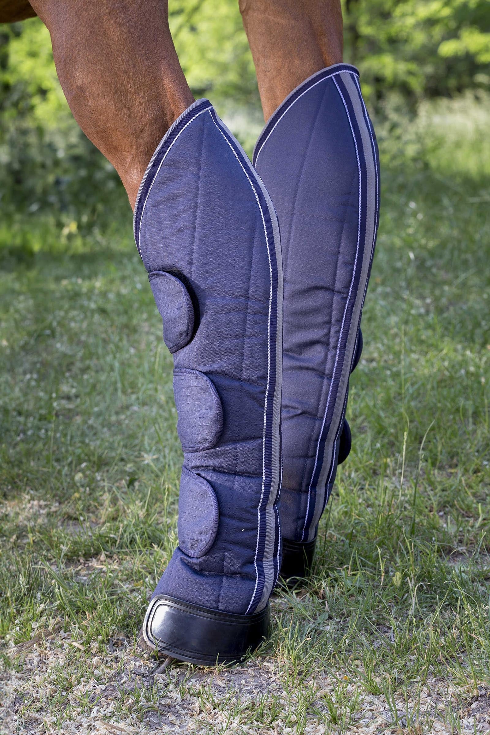 Equi Theme EQUITHÈME TYREX 600D Reinforced Transport Boots Leg & Hoof Protection