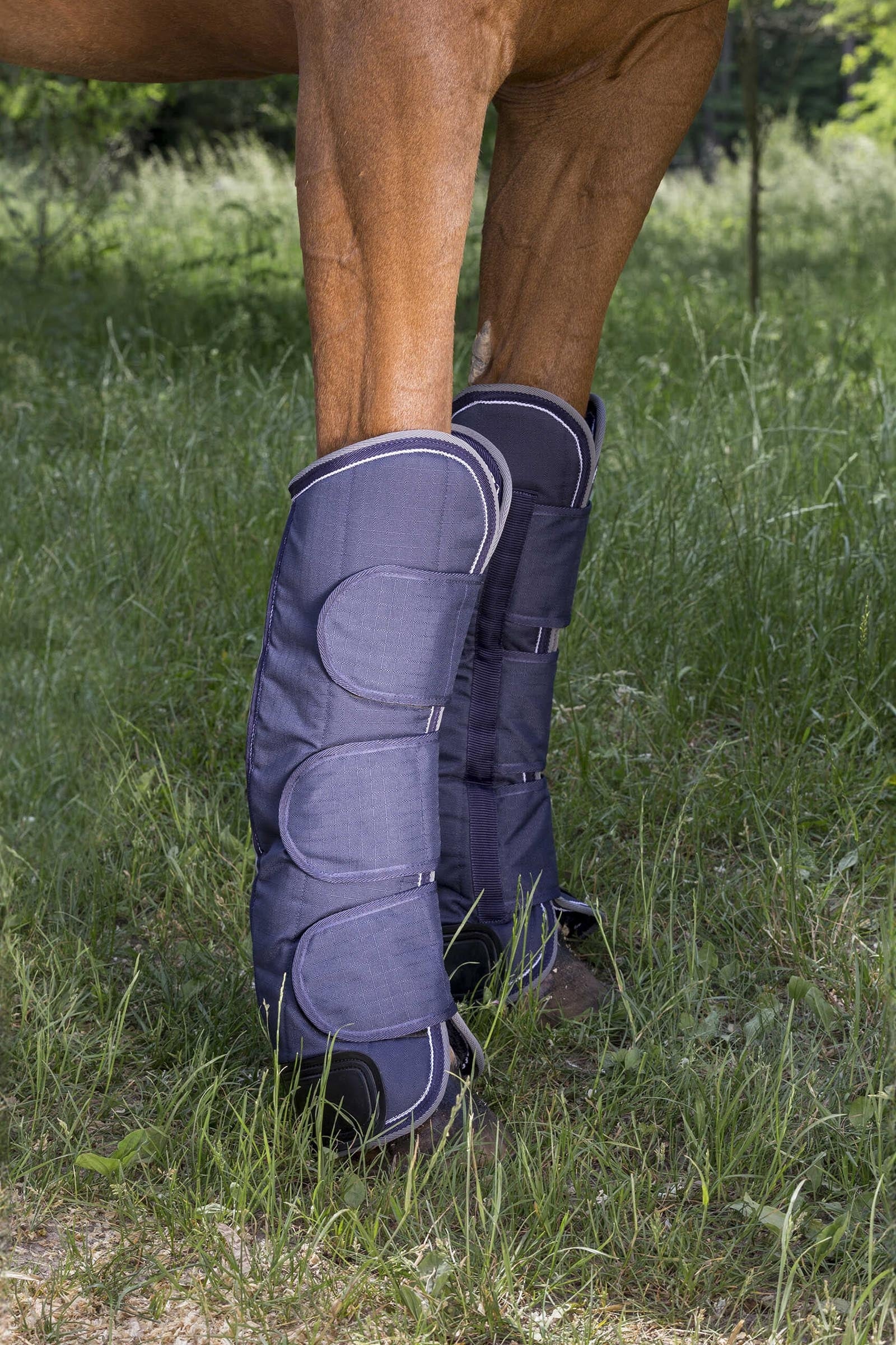 Equi Theme EQUITHÈME TYREX 600D Reinforced Transport Boots Leg & Hoof Protection