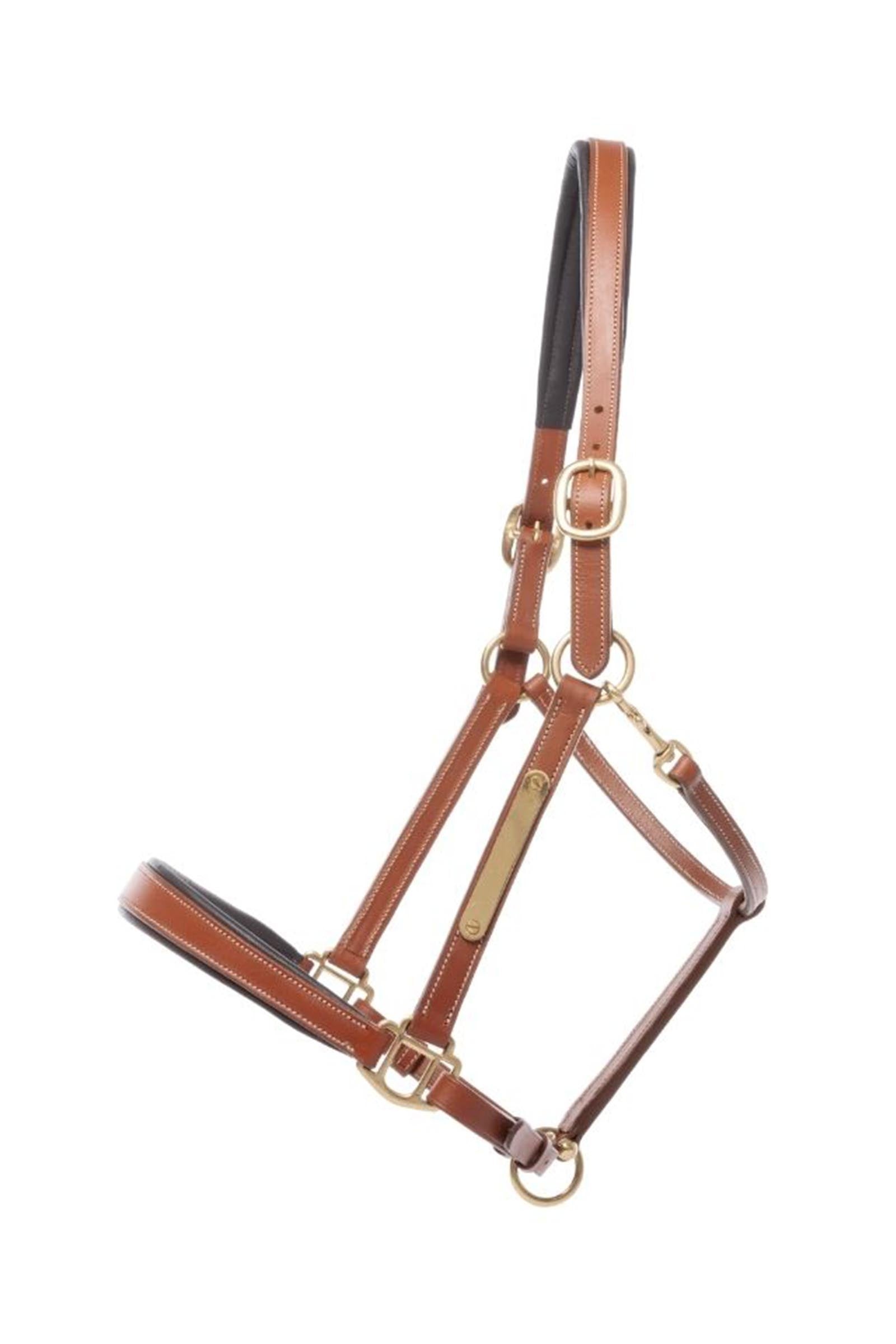 Kavalkade Bennet Leather Halter Halters & Leads