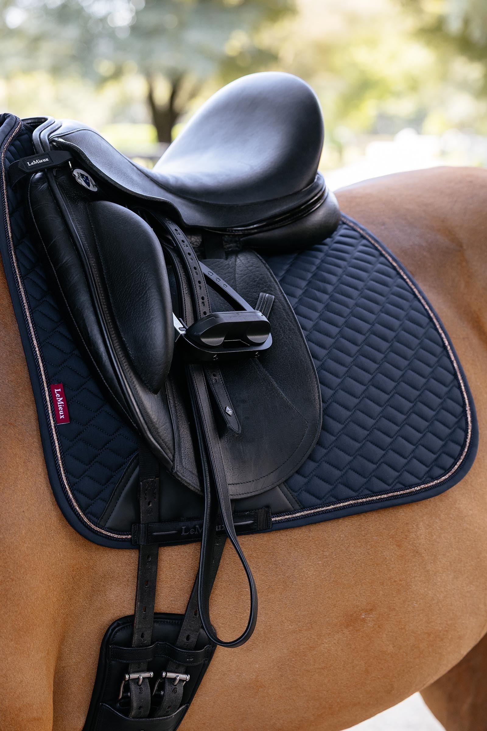 LeMieux Brilliance Dressage Square Saddle Pads