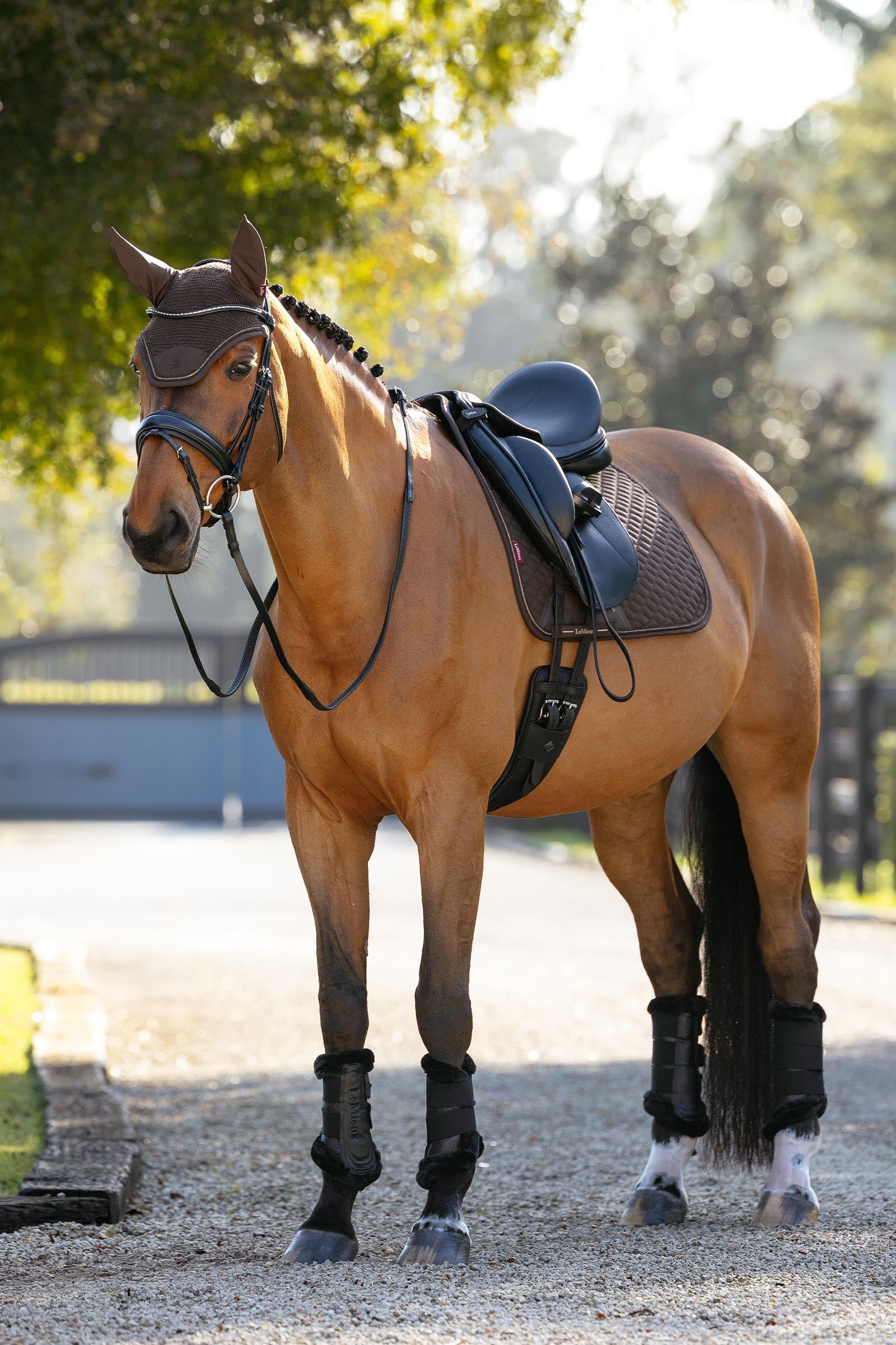 LeMieux Brilliance Dressage Square Saddle Pads