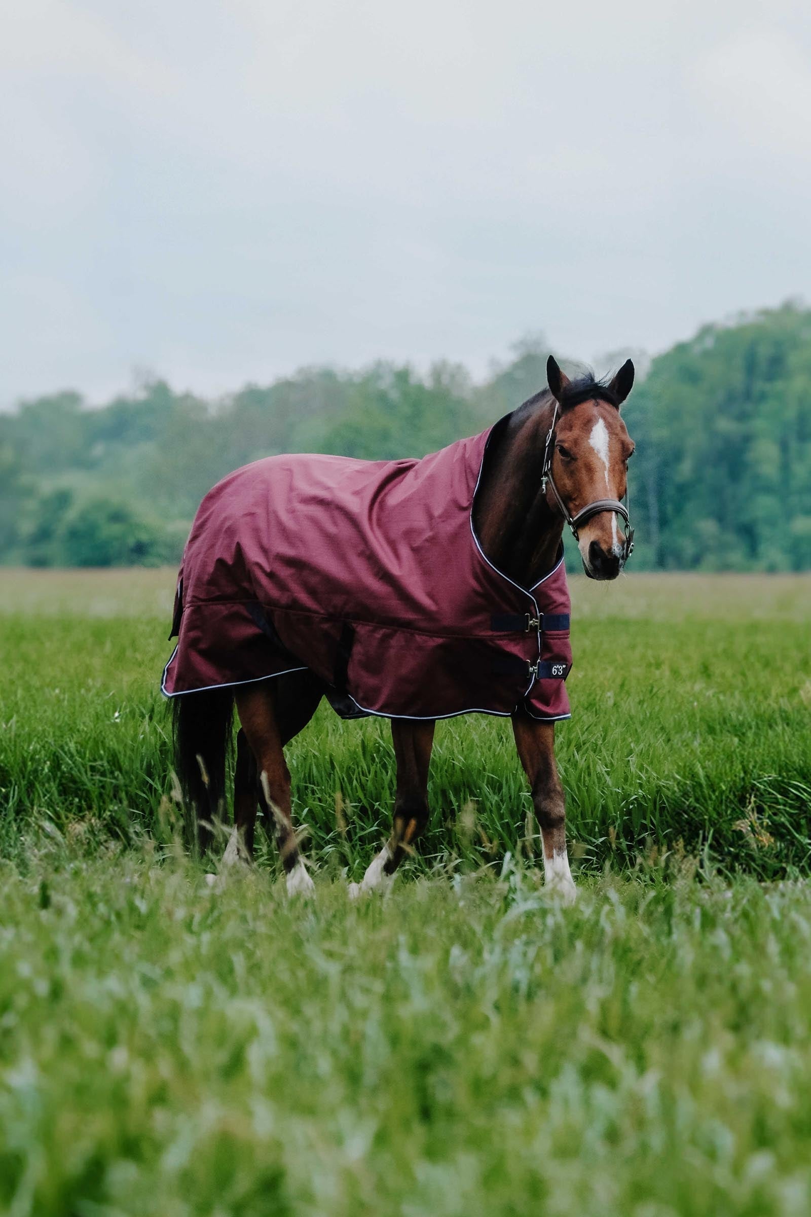 Equi Theme EQUITHÈME TYREX 1200D High Neck Rug, 300 g Horse Rugs