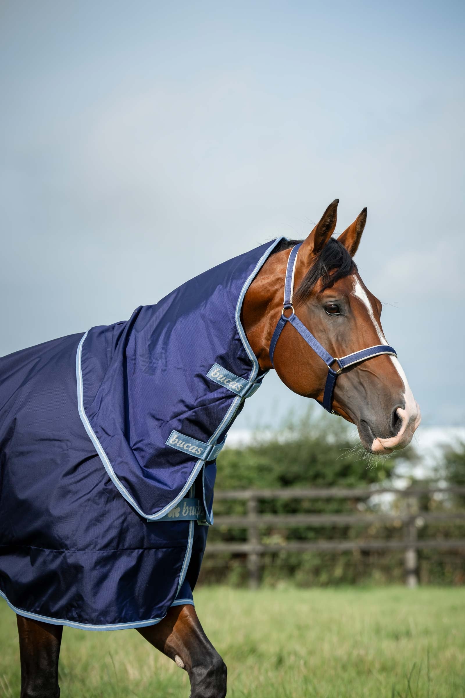 Bucas Atlantic Exclusive Rug & Neck, 150 g Horse Rugs