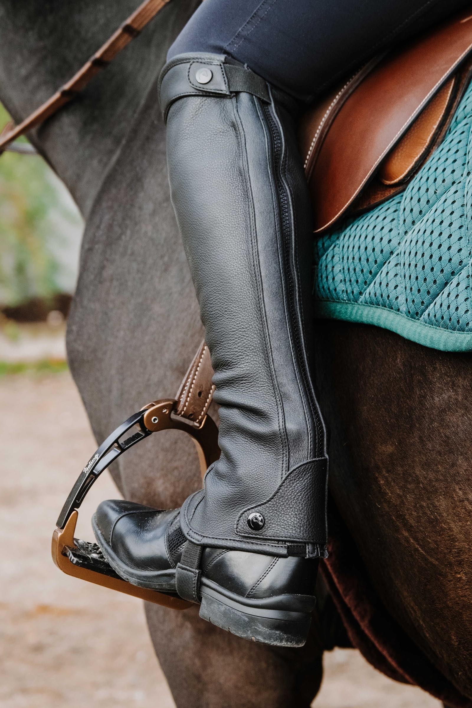 Equi Theme EQUITHÈME Select Half Chaps Riding Boots & Riding Shoes