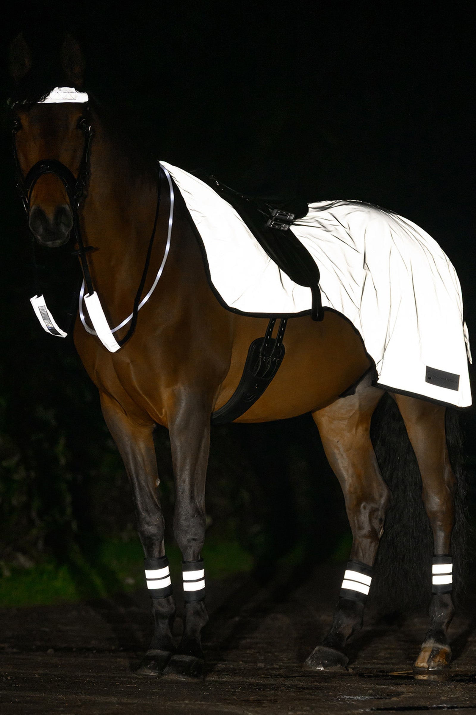 Waldhausen REFLEX Snaffle Bridle Set Reflective