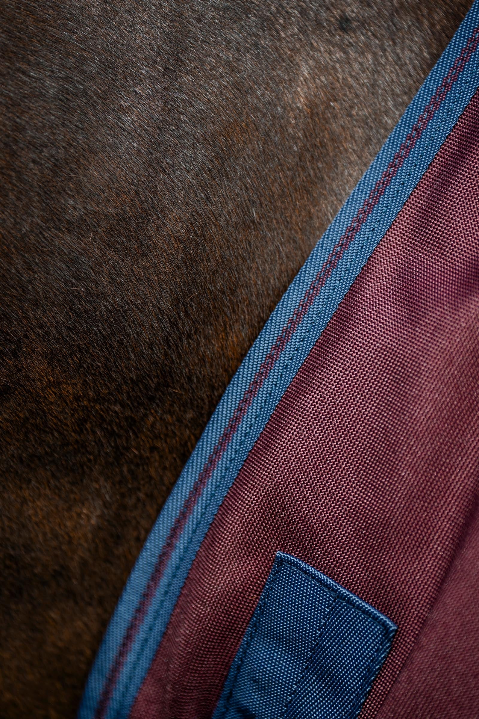 Horseware Amigo 1200D Turnout Rug, 0 g Horse Rugs