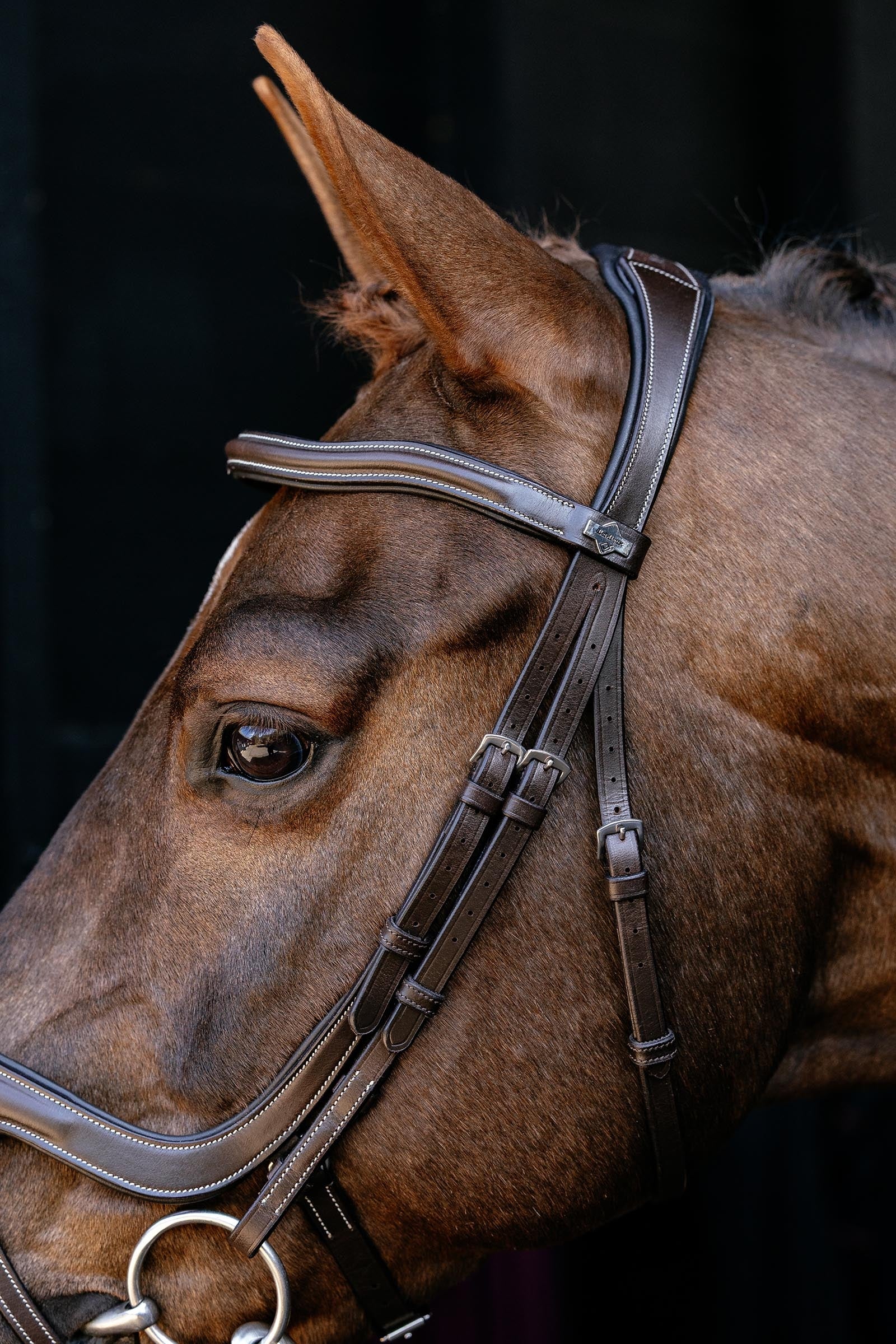 LeMieux Arika Split Noseband Bridle Bridles & Reins