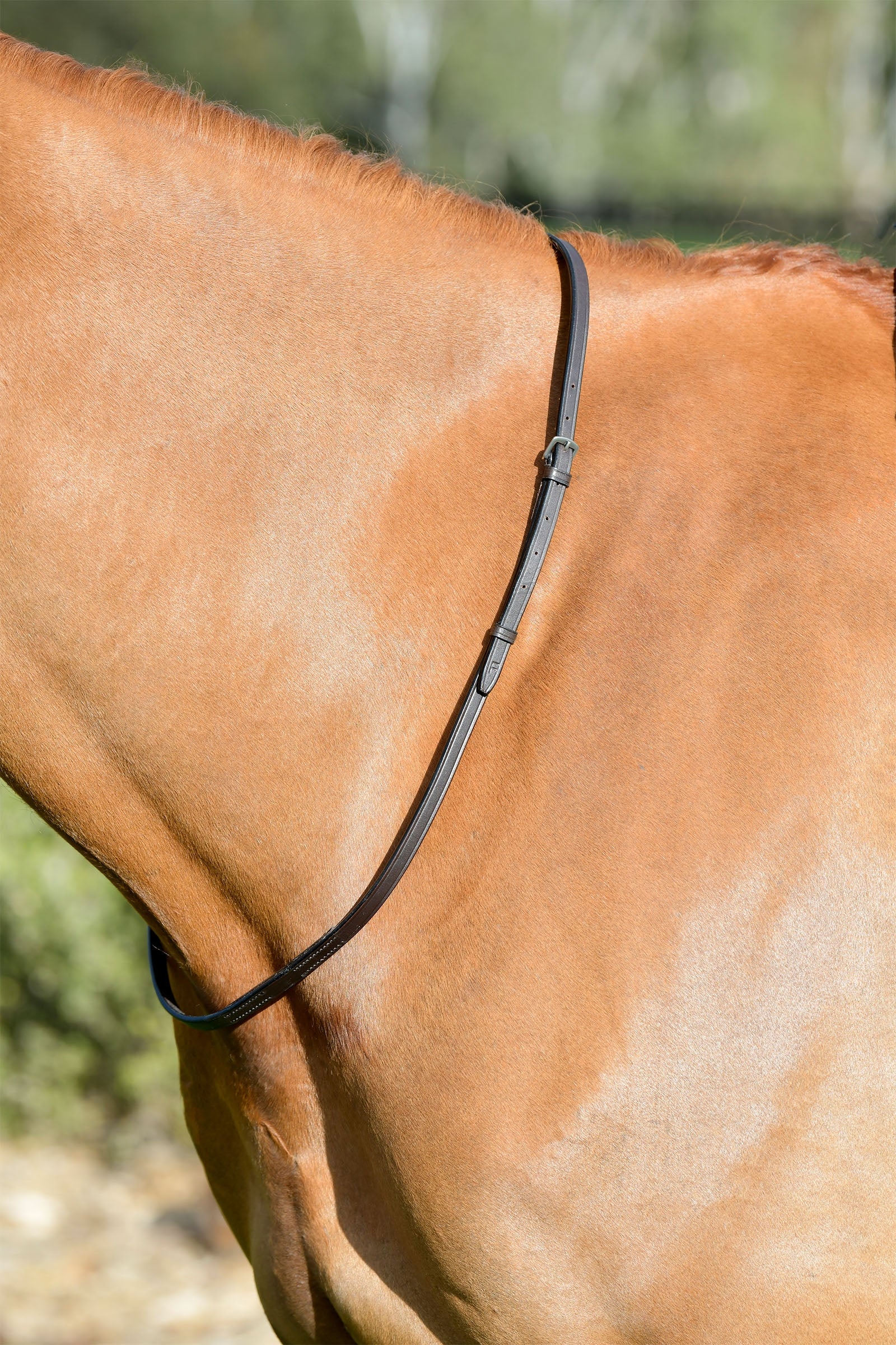 Kincade Classic collier de cou en cuir Briderie et enrênements