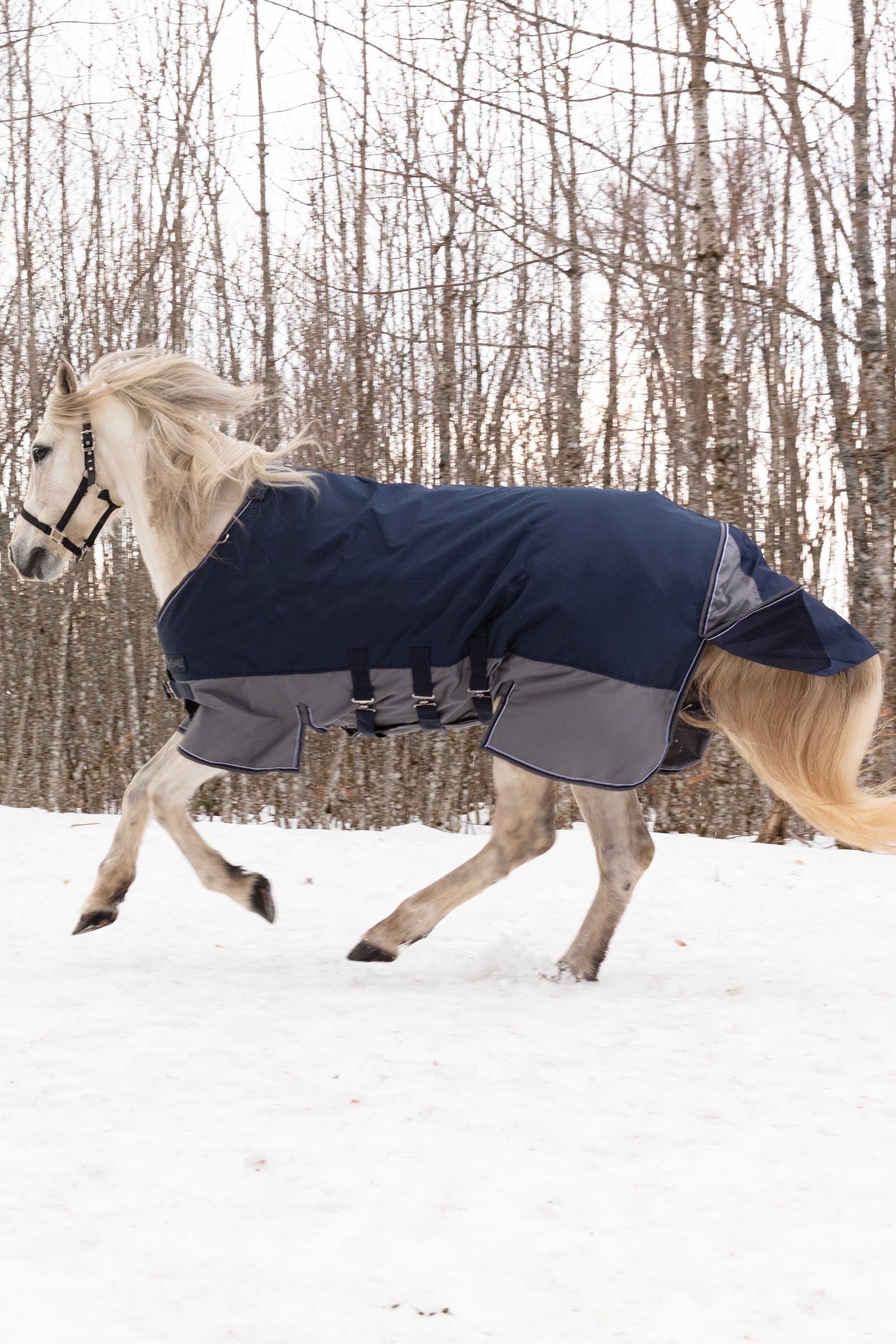 Equi Theme EQUITHÈME TYREX 600D Turnout Rug With Belly Flap, 300 g Horse Rugs
