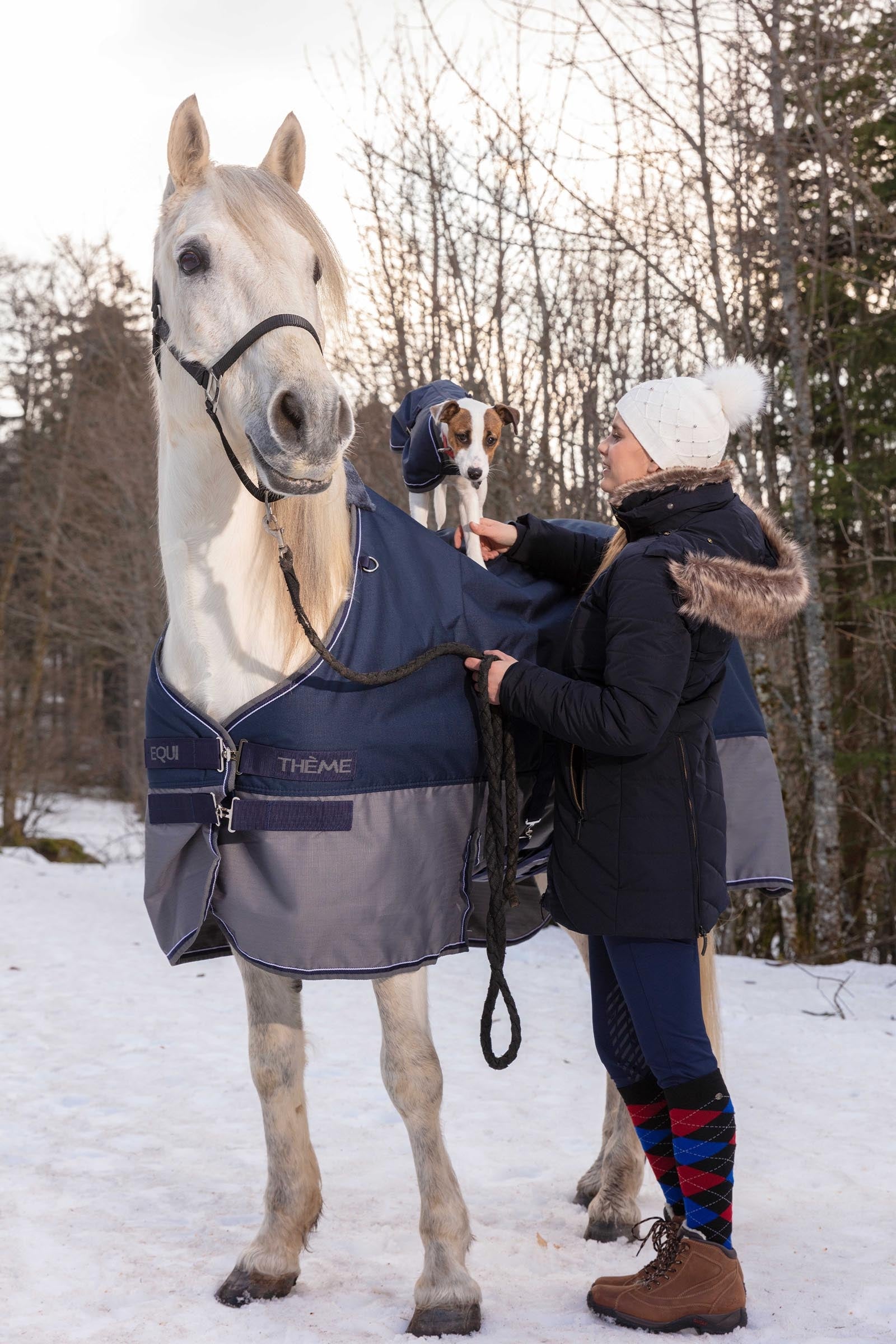 Equi Theme EQUITHÈME TYREX 600D Turnout Rug With Belly Flap, 300 g Horse Rugs