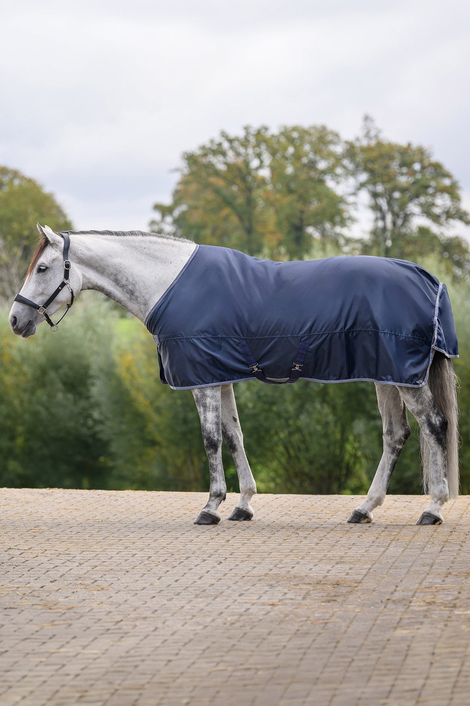Waldhausen ECONOMIC couverture imperméable Couvertures cheval