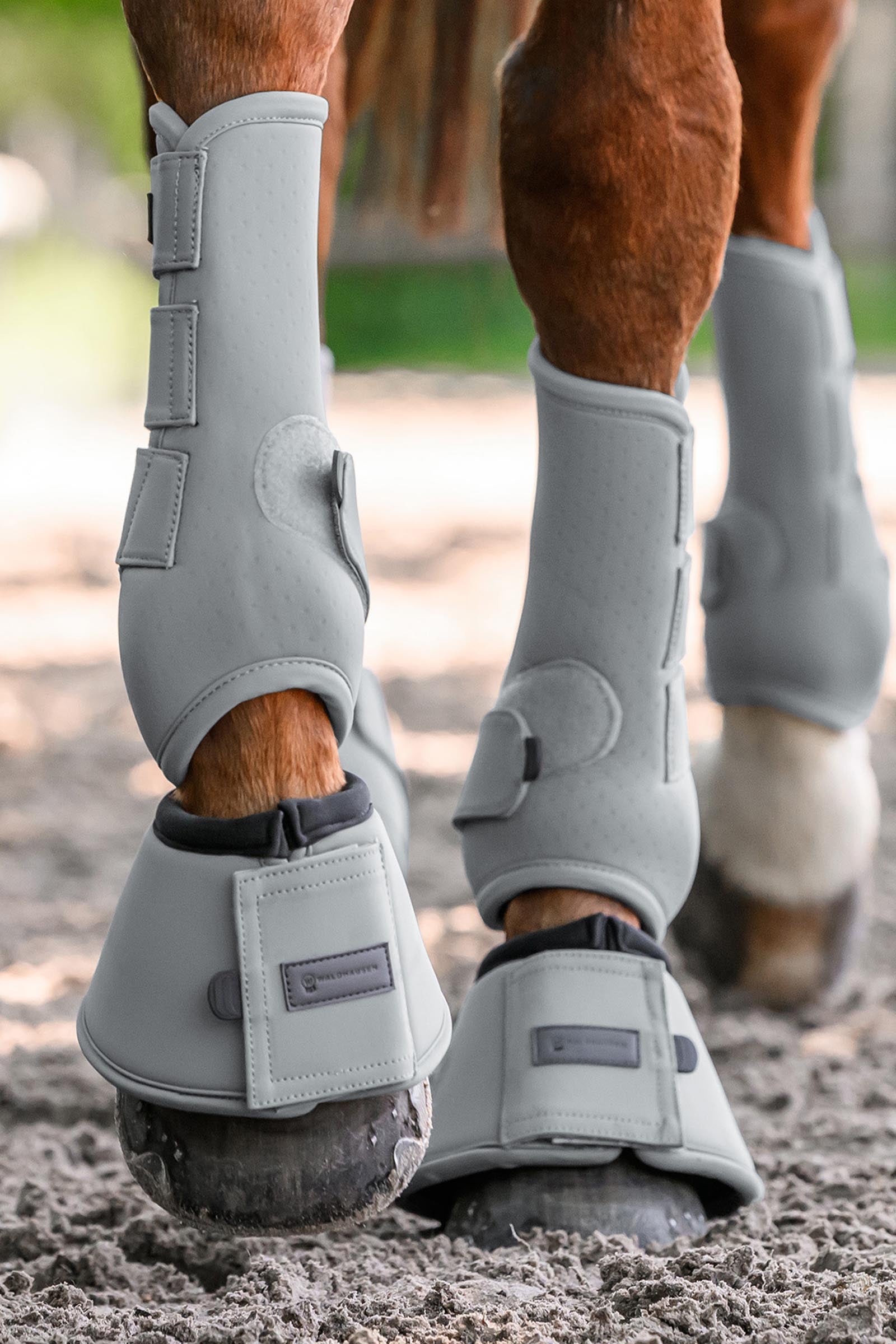 Waldhausen Performance Bell Boots Leg & Hoof Protection