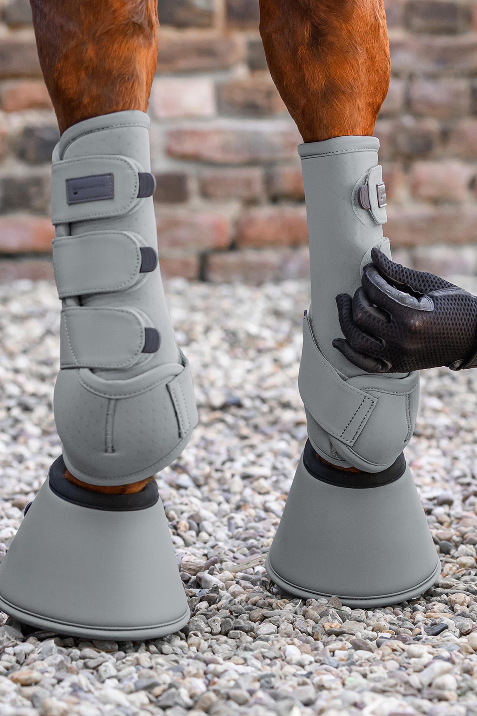 Waldhausen Performance Bell Boots Leg & Hoof Protection