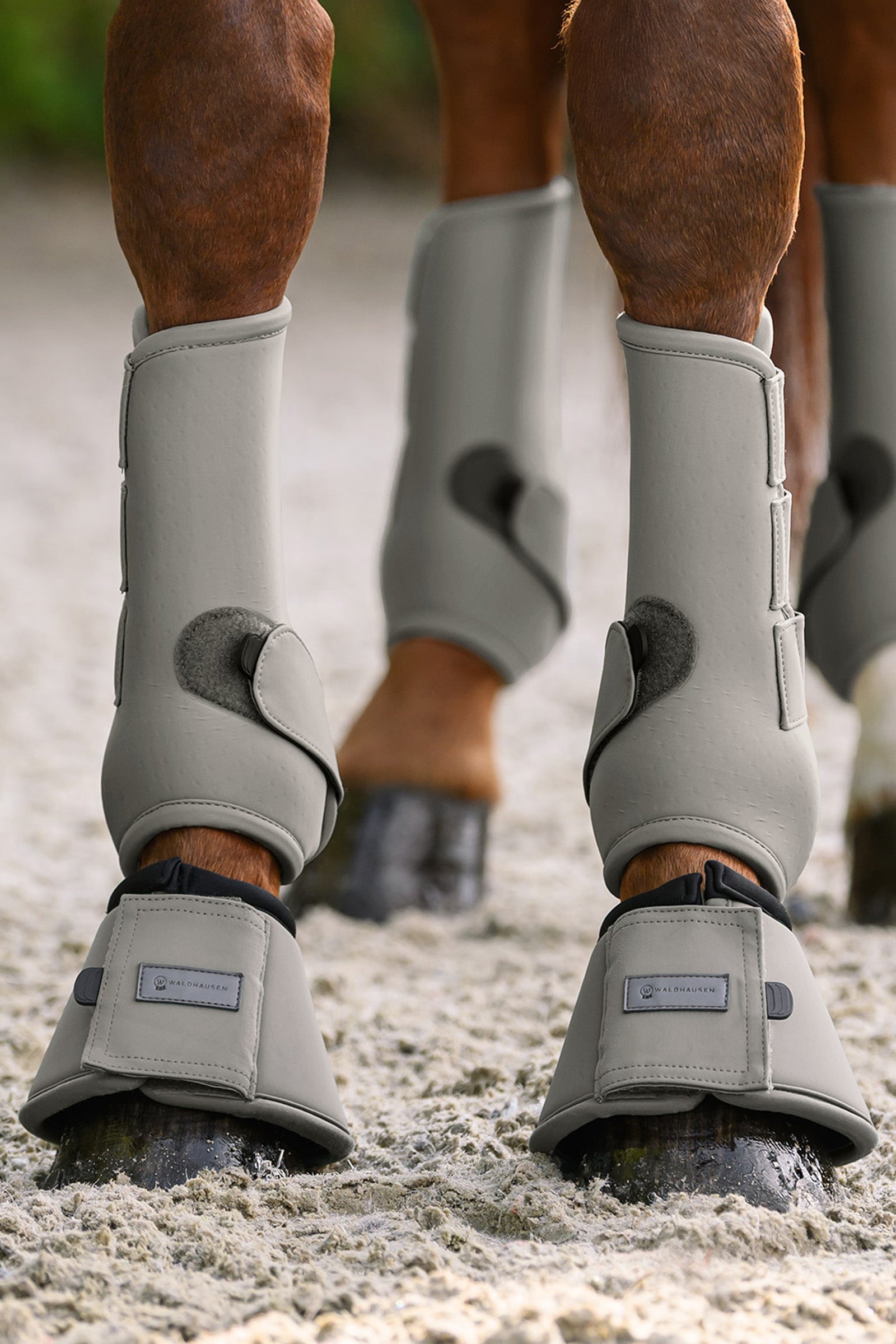 Waldhausen Performance Bell Boots Leg & Hoof Protection