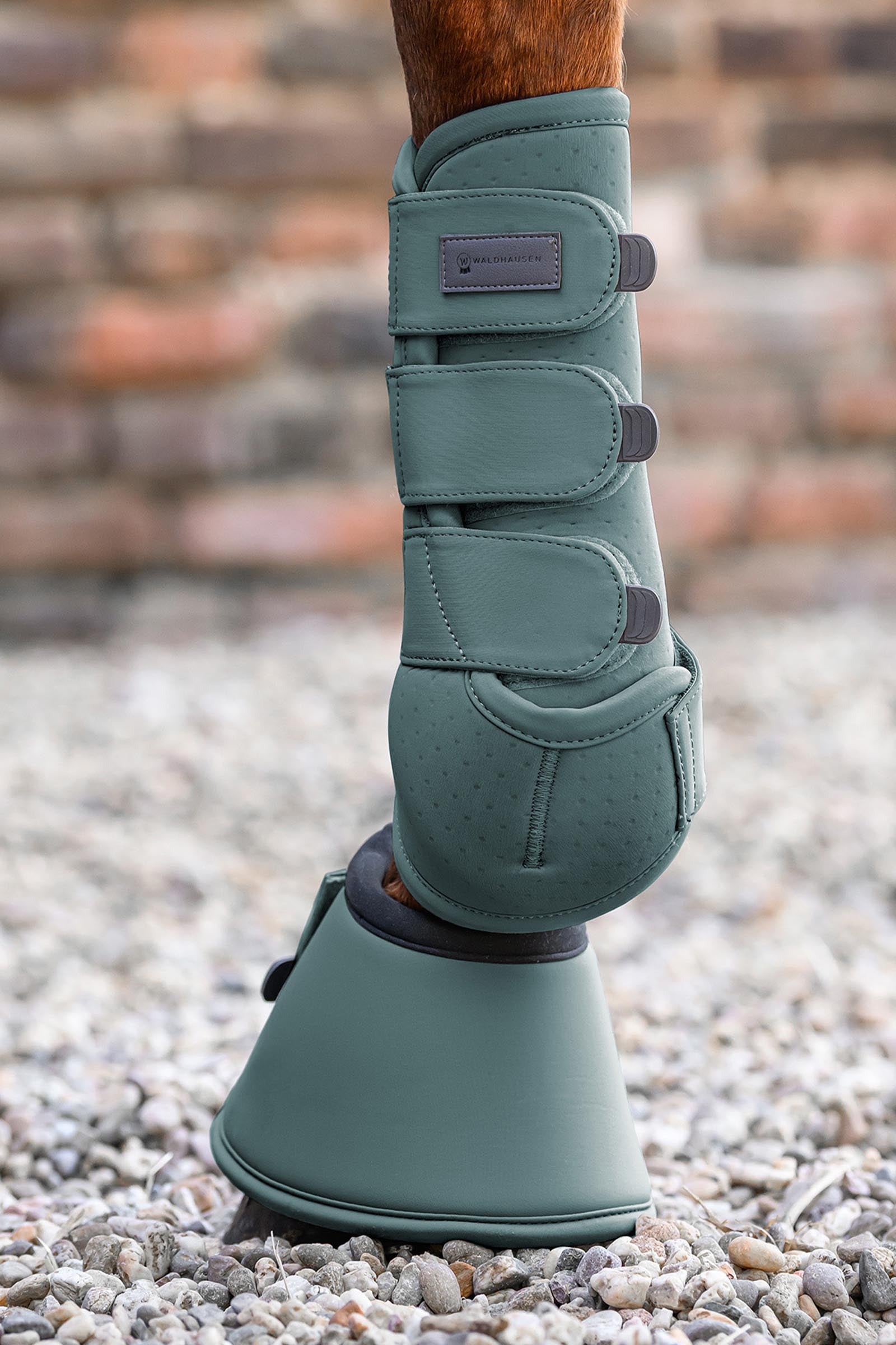 Waldhausen Performance Bell Boots Leg Protection & Hoof Protection for Horses