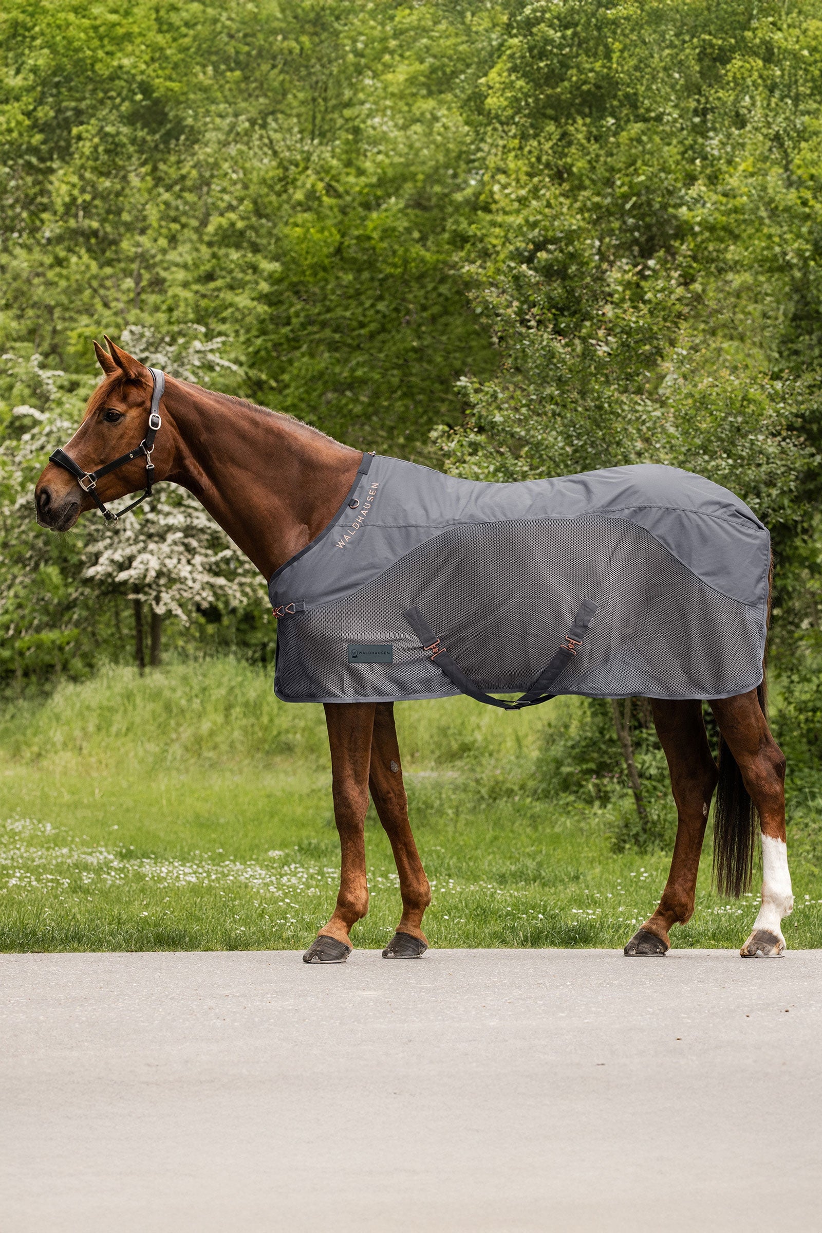 Waldhausen Comfort couverture imperméable anti-mouches Couvertures cheval