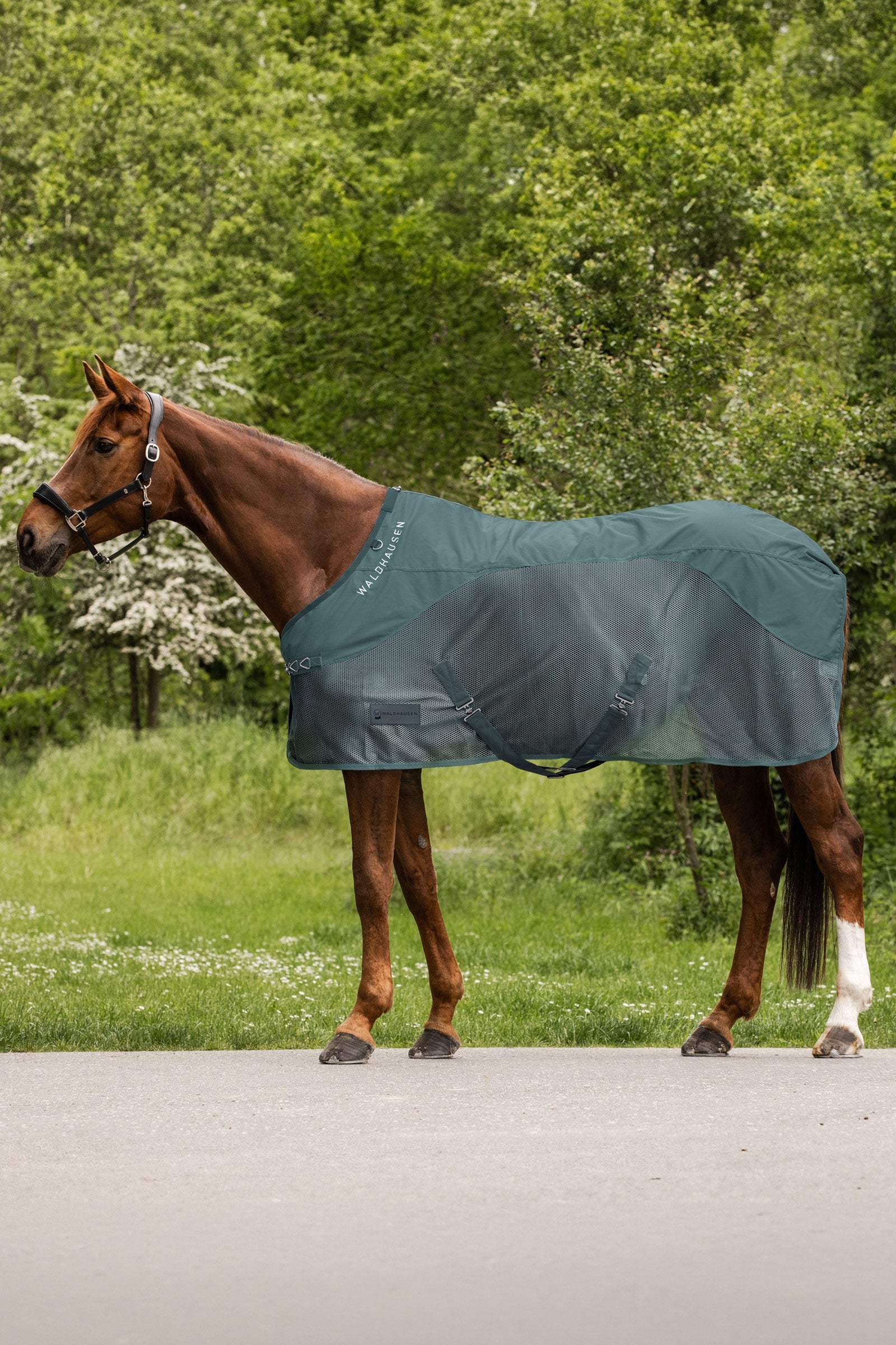 Waldhausen Comfort couverture imperméable anti-mouches Couvertures cheval