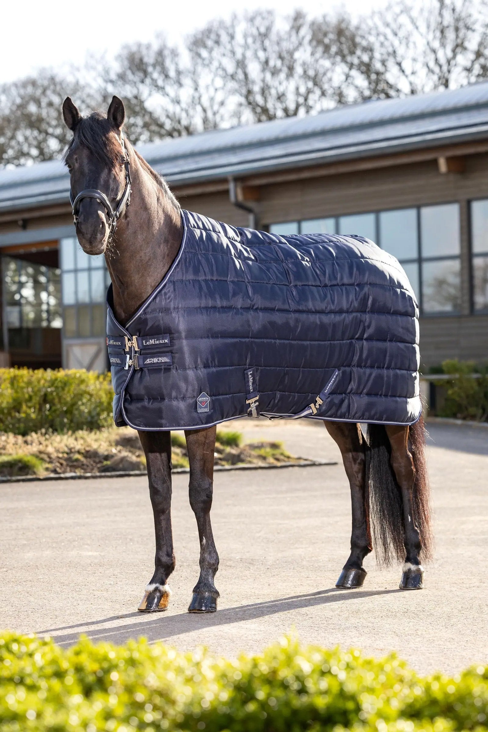 LeMieux Arika Stable-Tek Stable Rug, 200 g Couvertures cheval