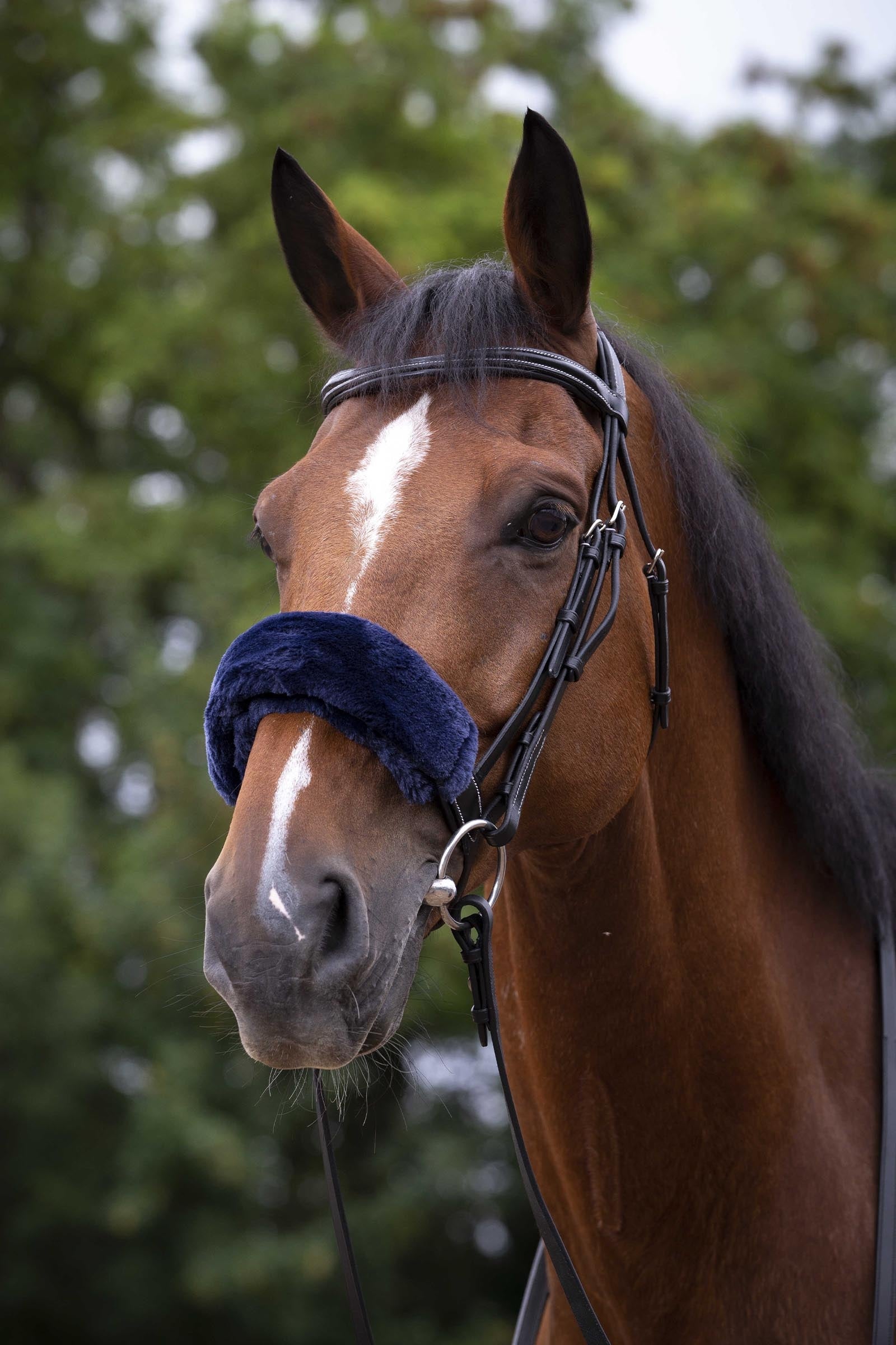 EQUITHÈME Teddy Noseband Sleeve Bridles & Reins