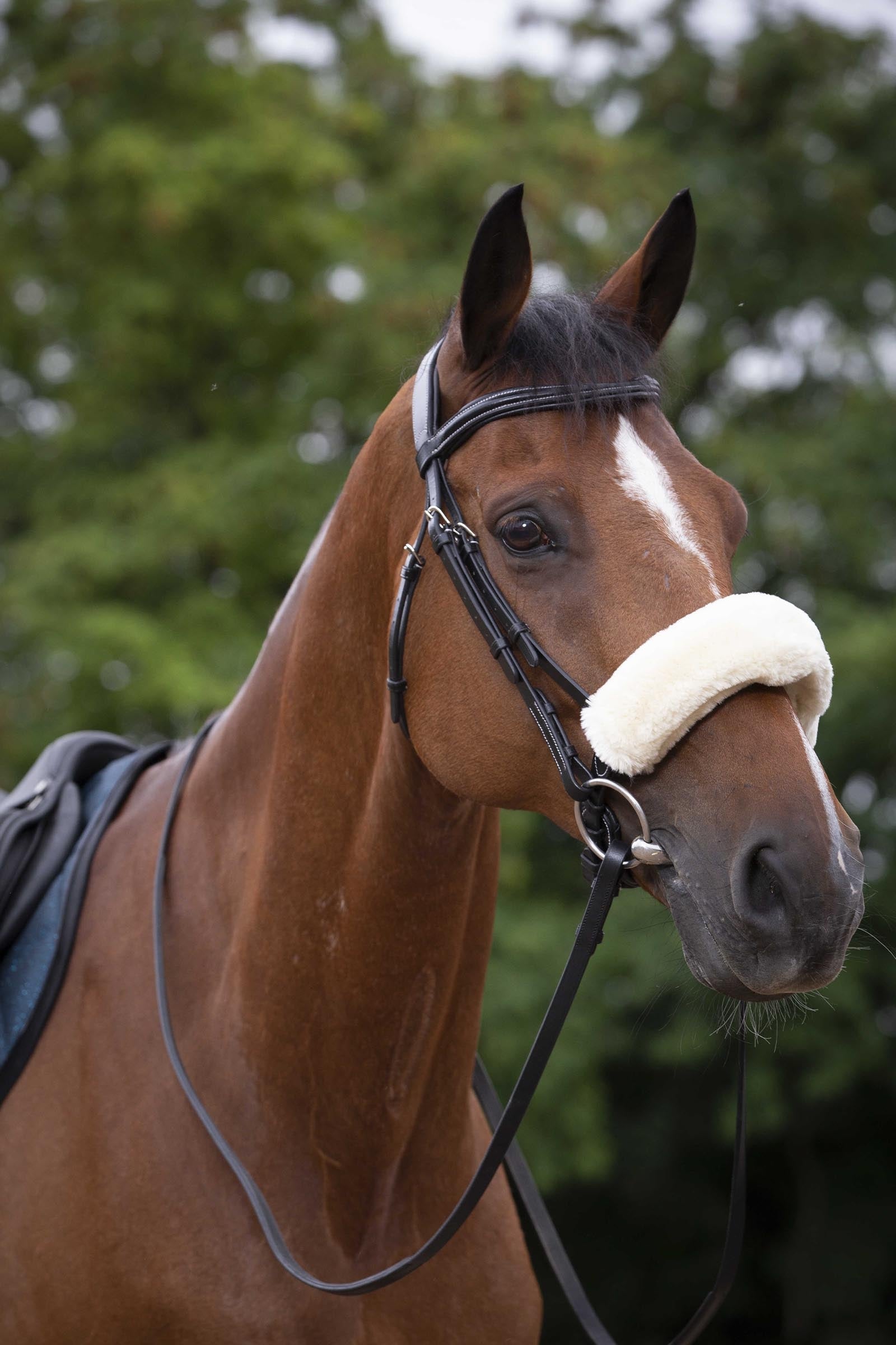 EQUITHÈME Teddy Noseband Sleeve Bridles & Reins
