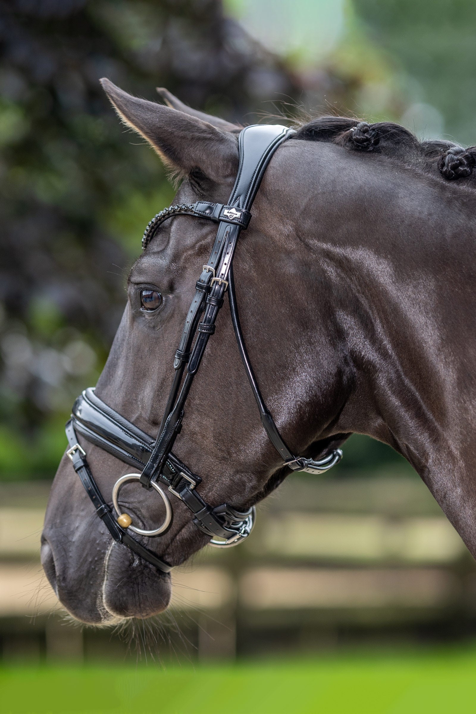 LeMieux Kudos Patent Dressage Bridle Bridles & Reins