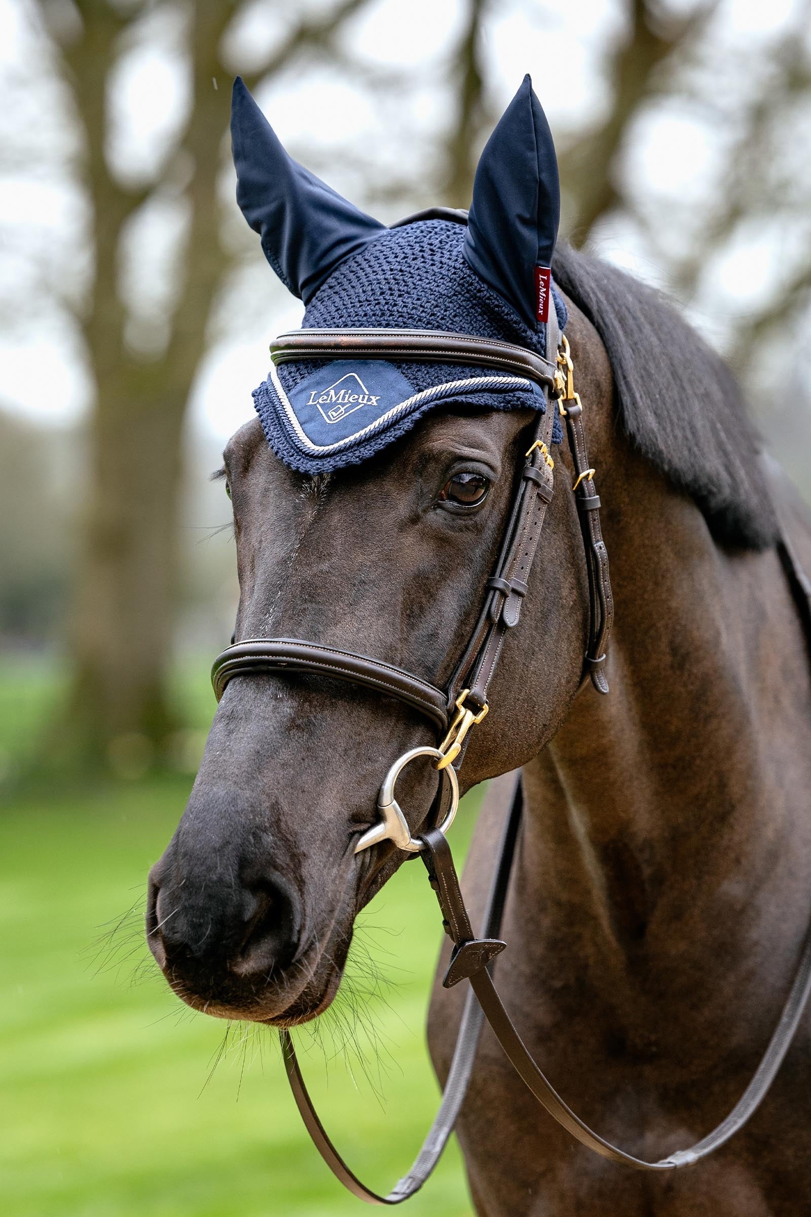 LeMieux Classic Fly Hood Saddle Pads