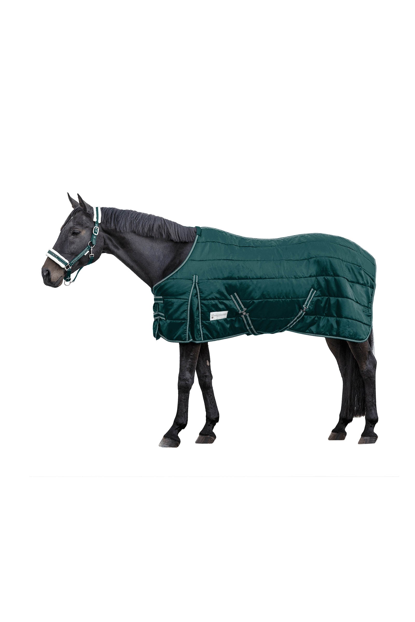 Waldhausen Stable rug Economic 200 g Couvertures cheval