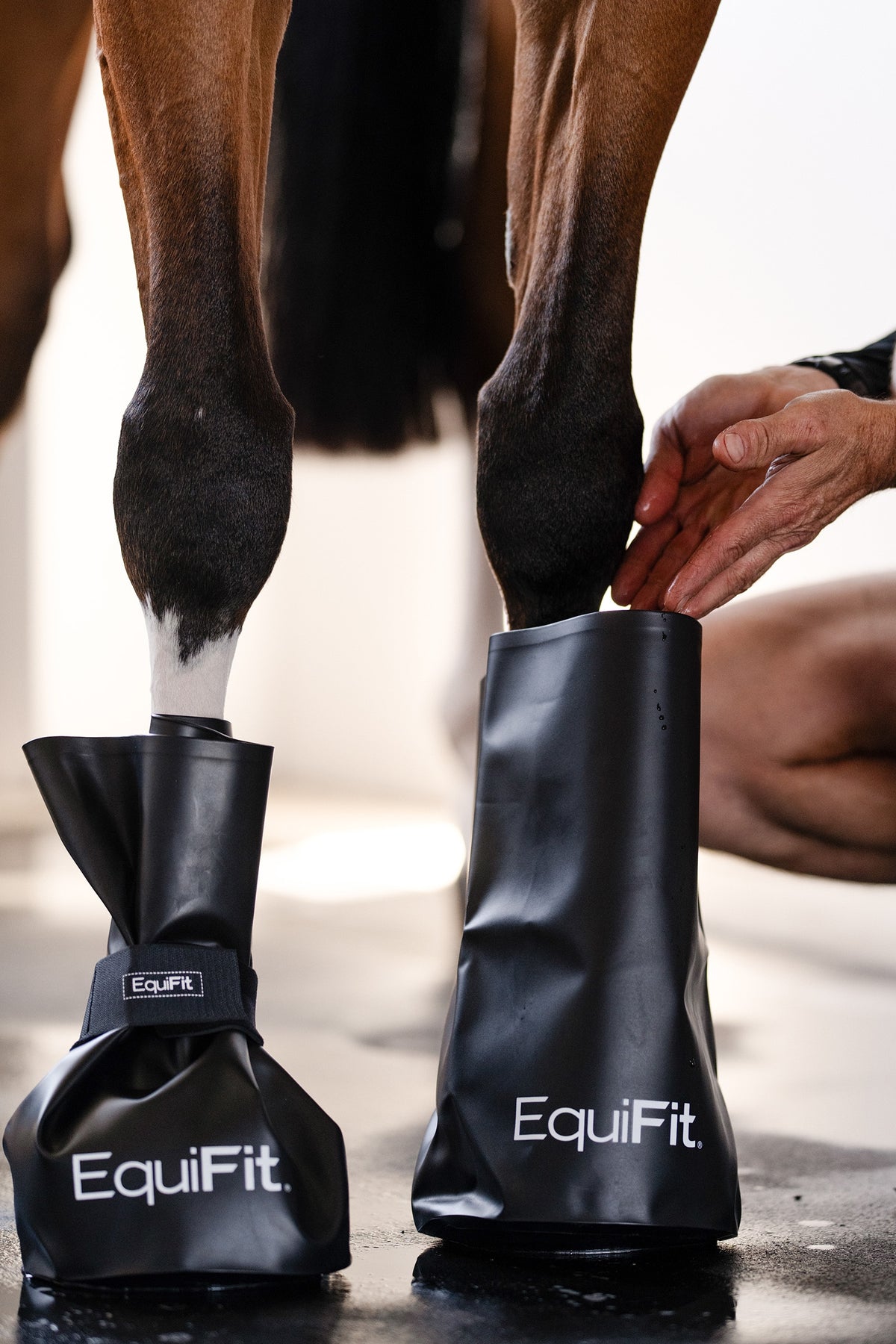 EquiFit EasyIce™ (Pair) Leg & Hoof Protection