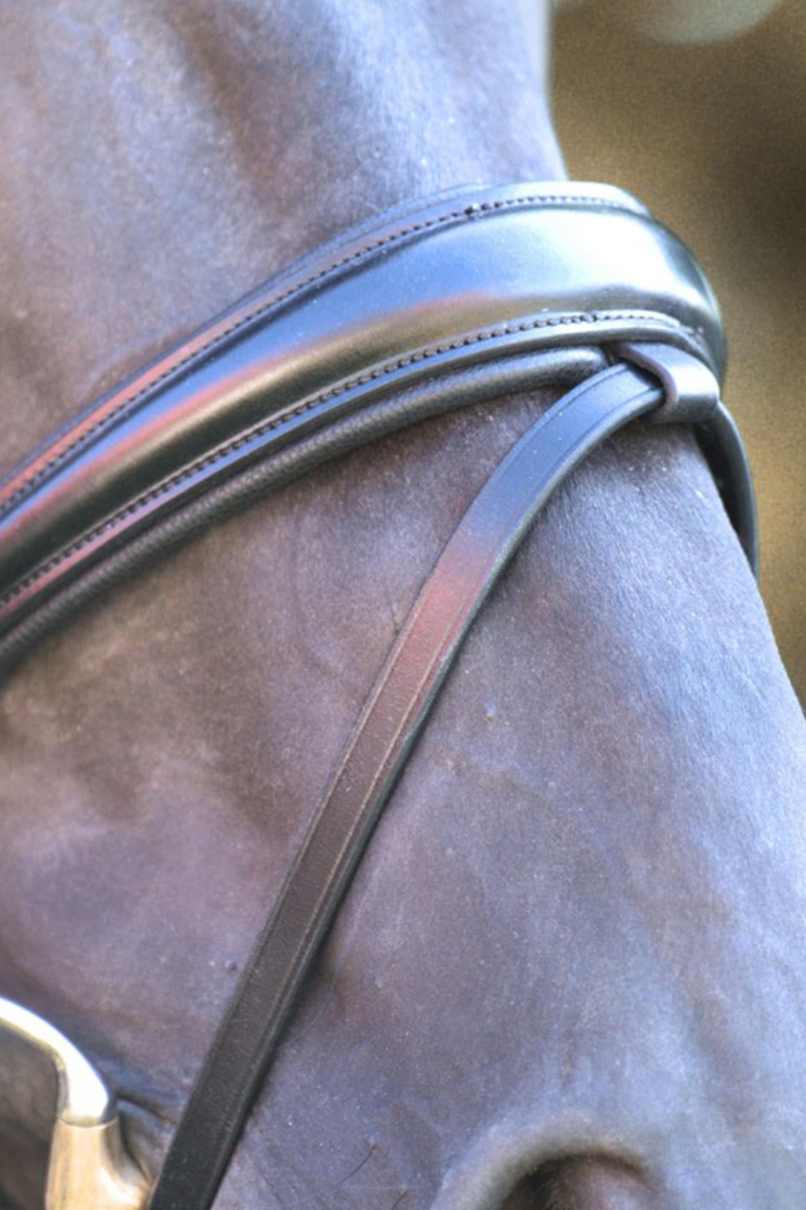 Kavalkade Florentine Bridle With Crank Noseband Bridles & Reins