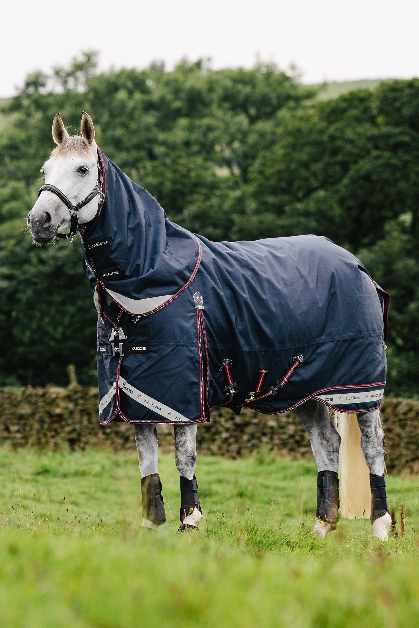 LeMieux Kudos Lightweight Turnout Rug, 50 g Couvertures cheval