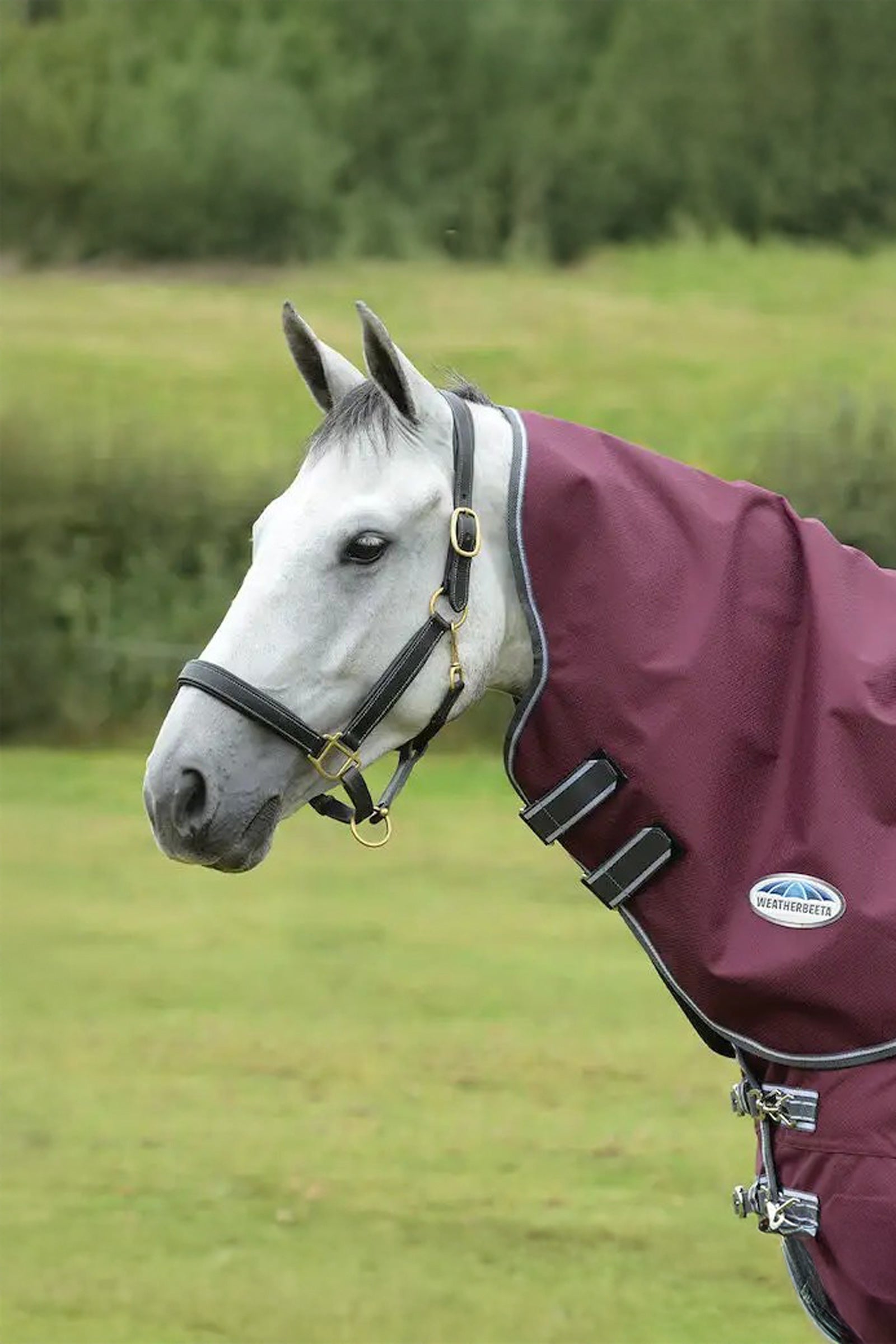 Weatherbeeta Comfitec Plus Dynamic II Medium/Lite Couvre-cou, 100 g Couvertures cheval