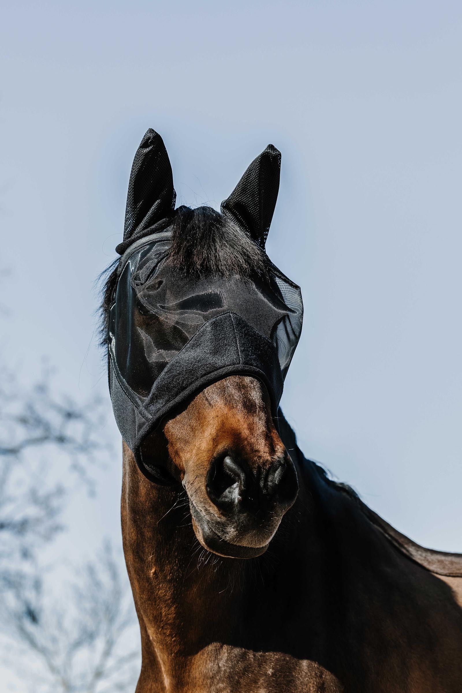 Equi Theme EQUITHÈME Supercut Fly Mask Antifly Protection for Horses