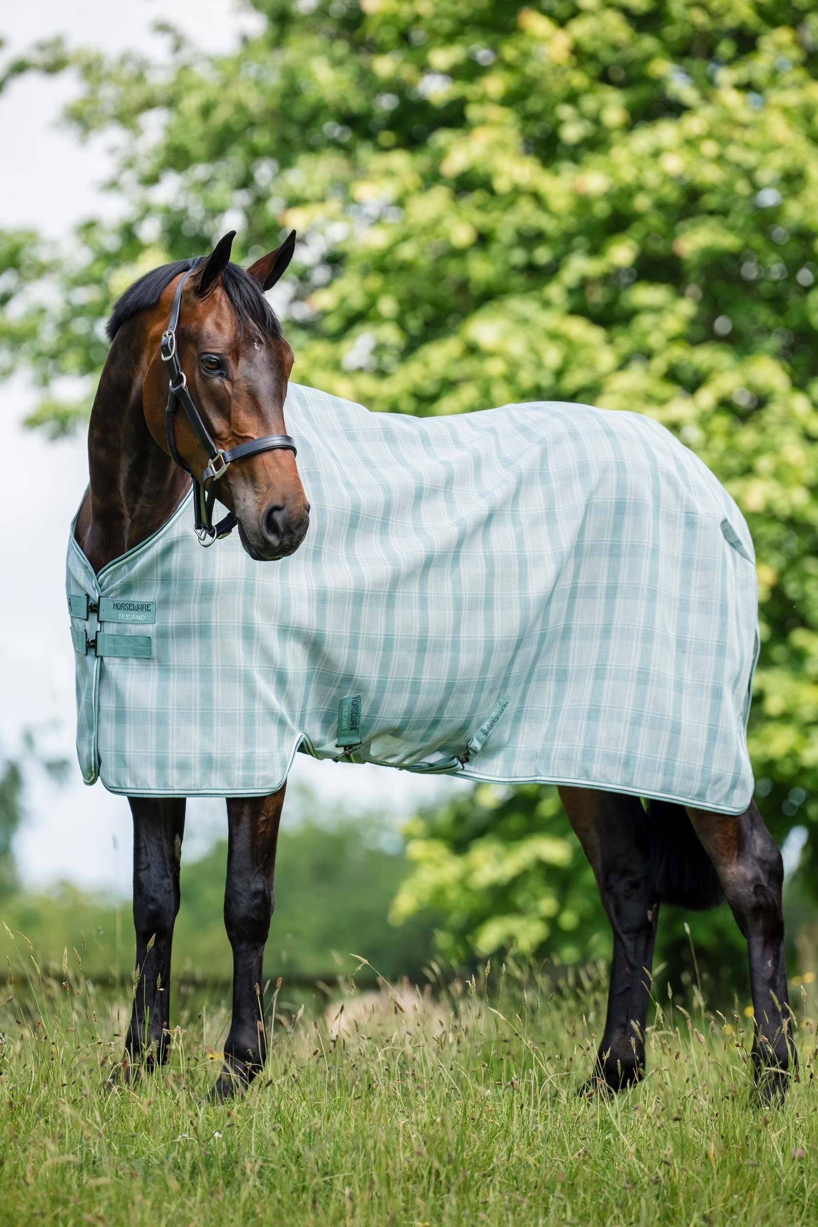 Horseware Newmarket couverture anti-mouches avec protection UV Couvertures cheval