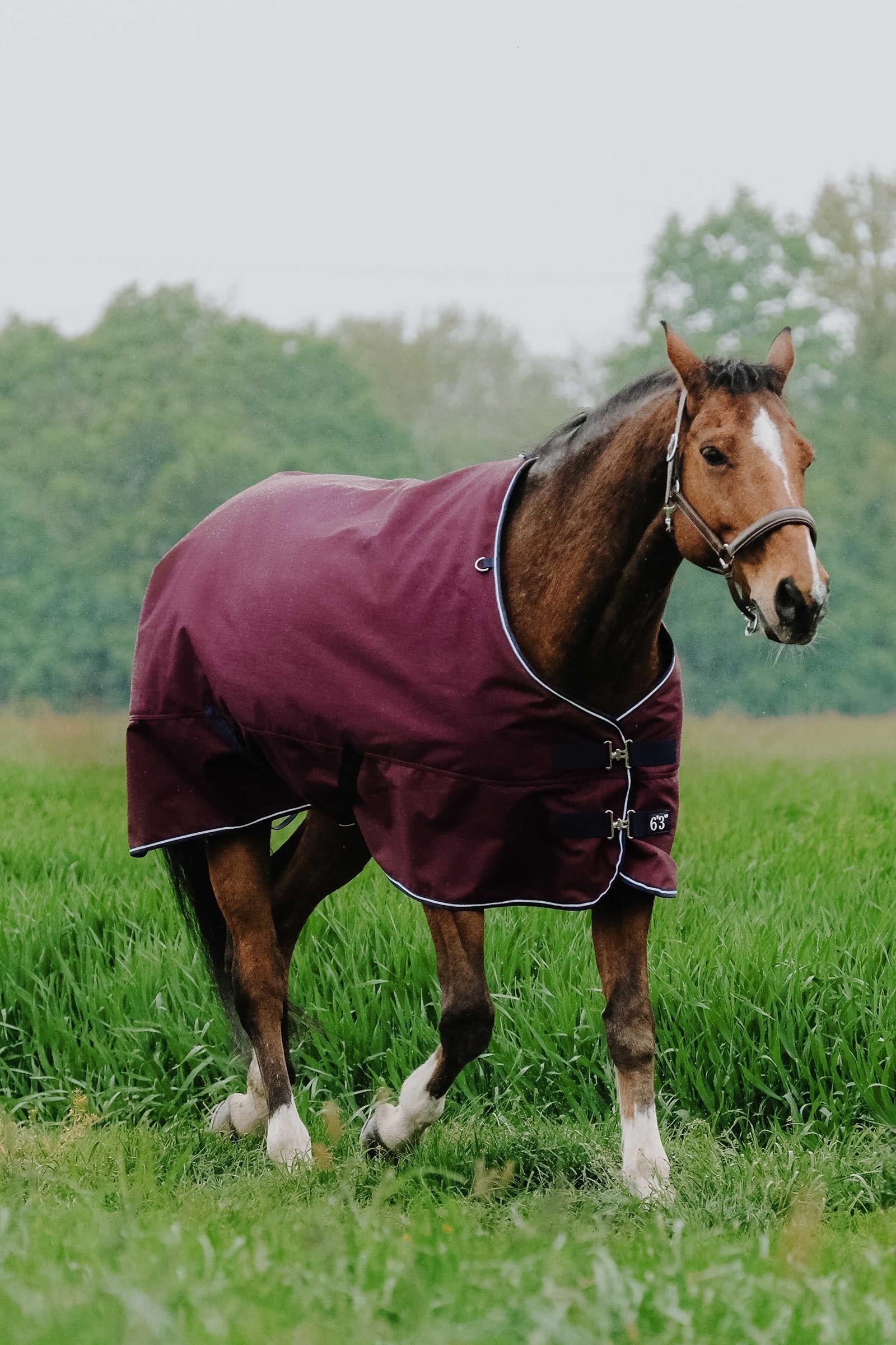 Equi Theme EQUITHÈME TYREX 1200D Turnout Rug, 0 g Horse Rugs