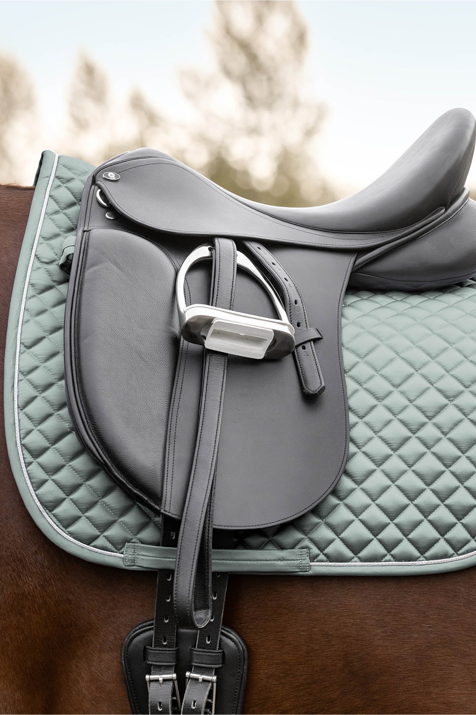 Waldhausen Felix Glam Dressage Saddle Pad Saddle Pads