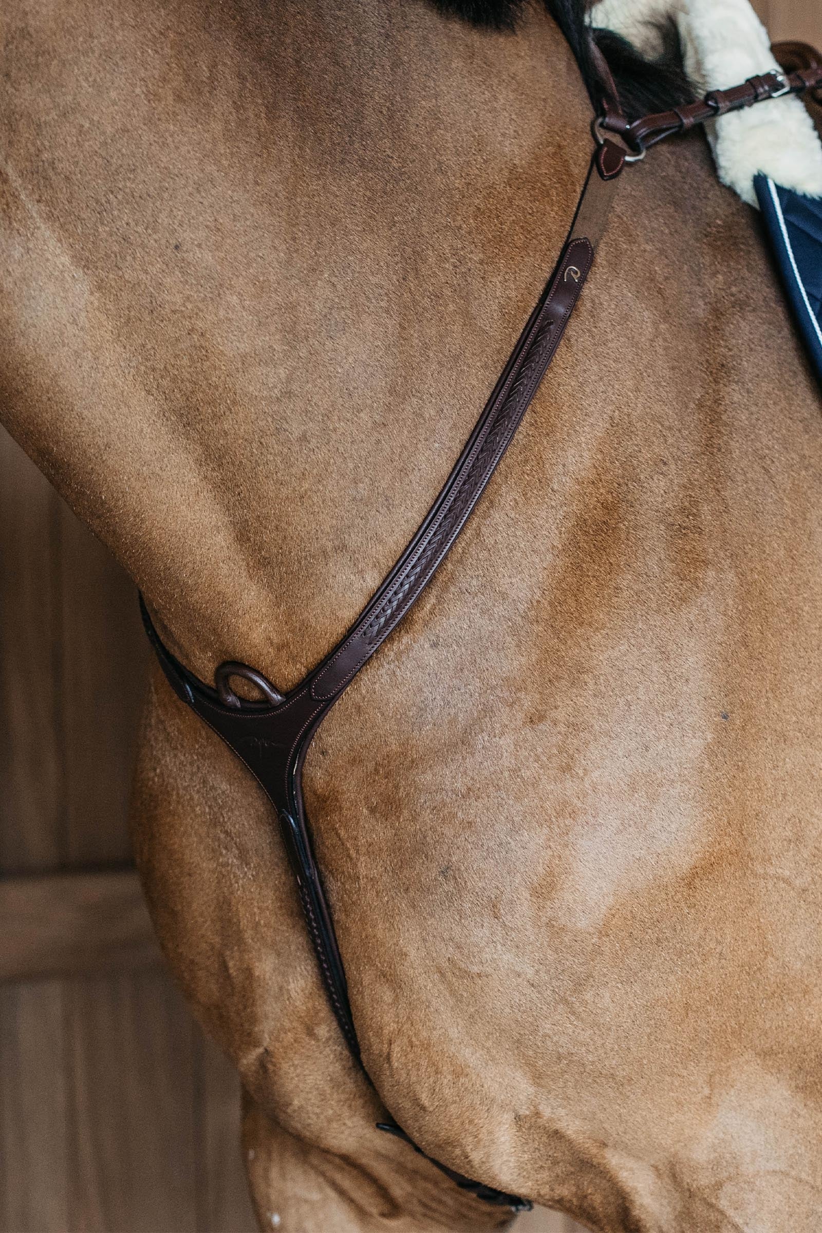 Dy'on New English collier de chasse tressé avec pont Briderie et enrênements
