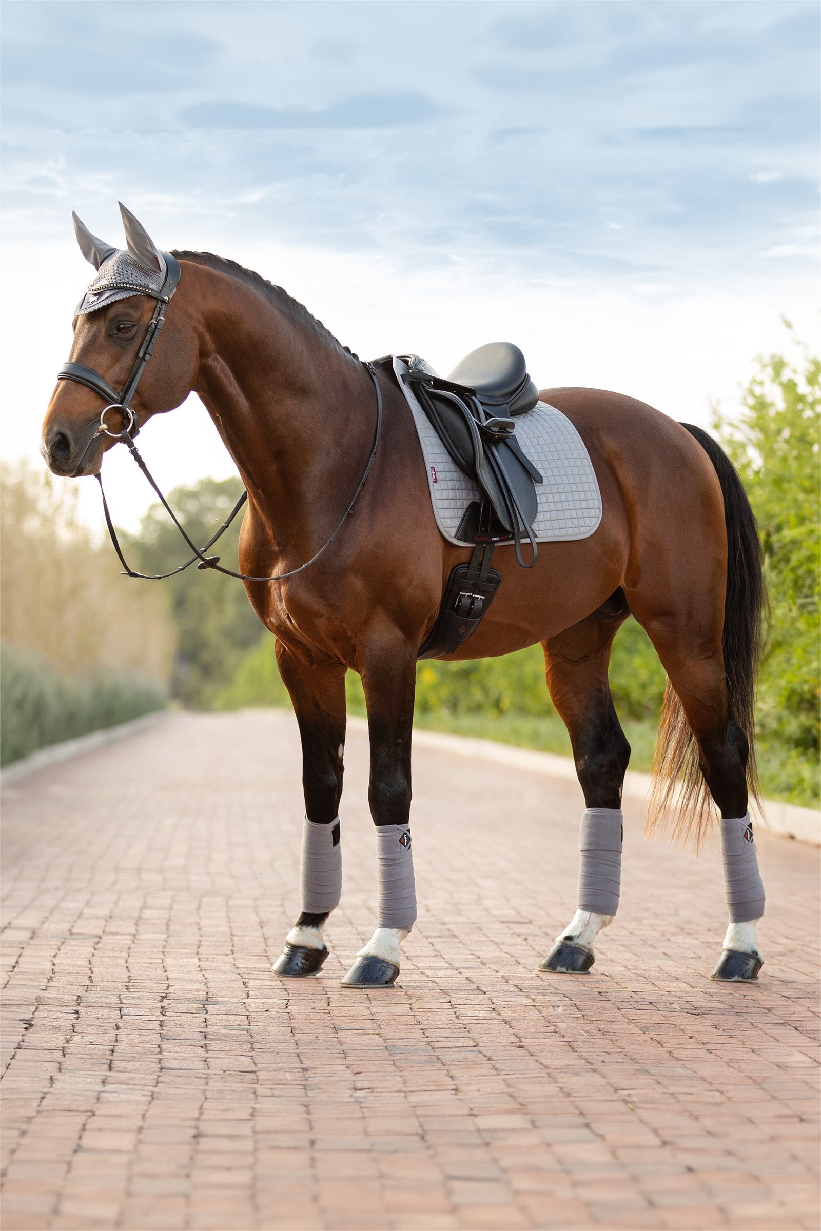 LeMieux Suede tapis de selle dressage Tapis de selle