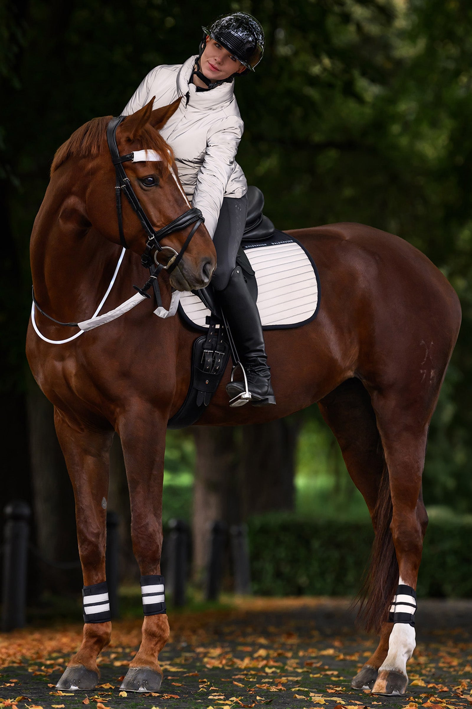 Waldhausen REFLEX Dressage Saddle Pad Reflective