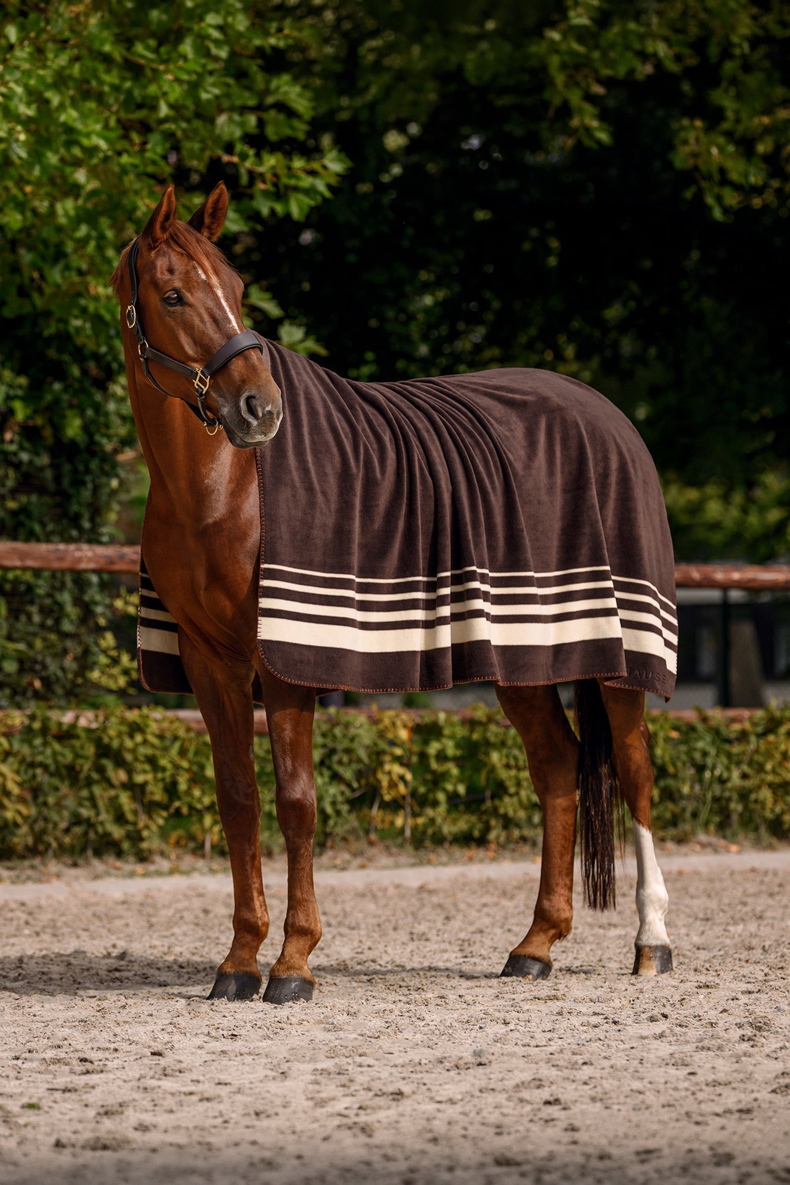 Waldhausen Sölden Fleece Rug Horse Rugs