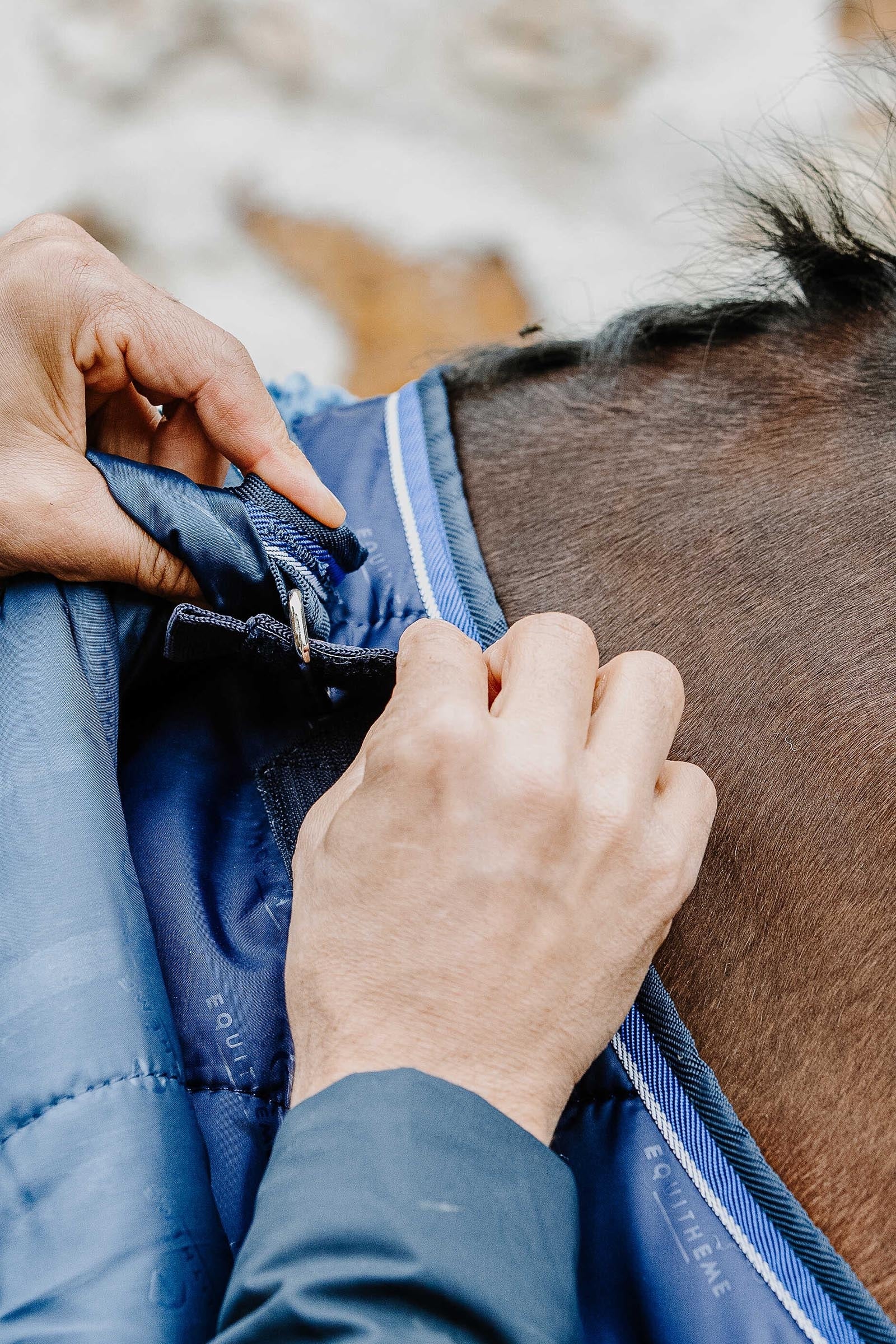 EQUITHÈME Classic Under Rug, 300 g Horse Rugs