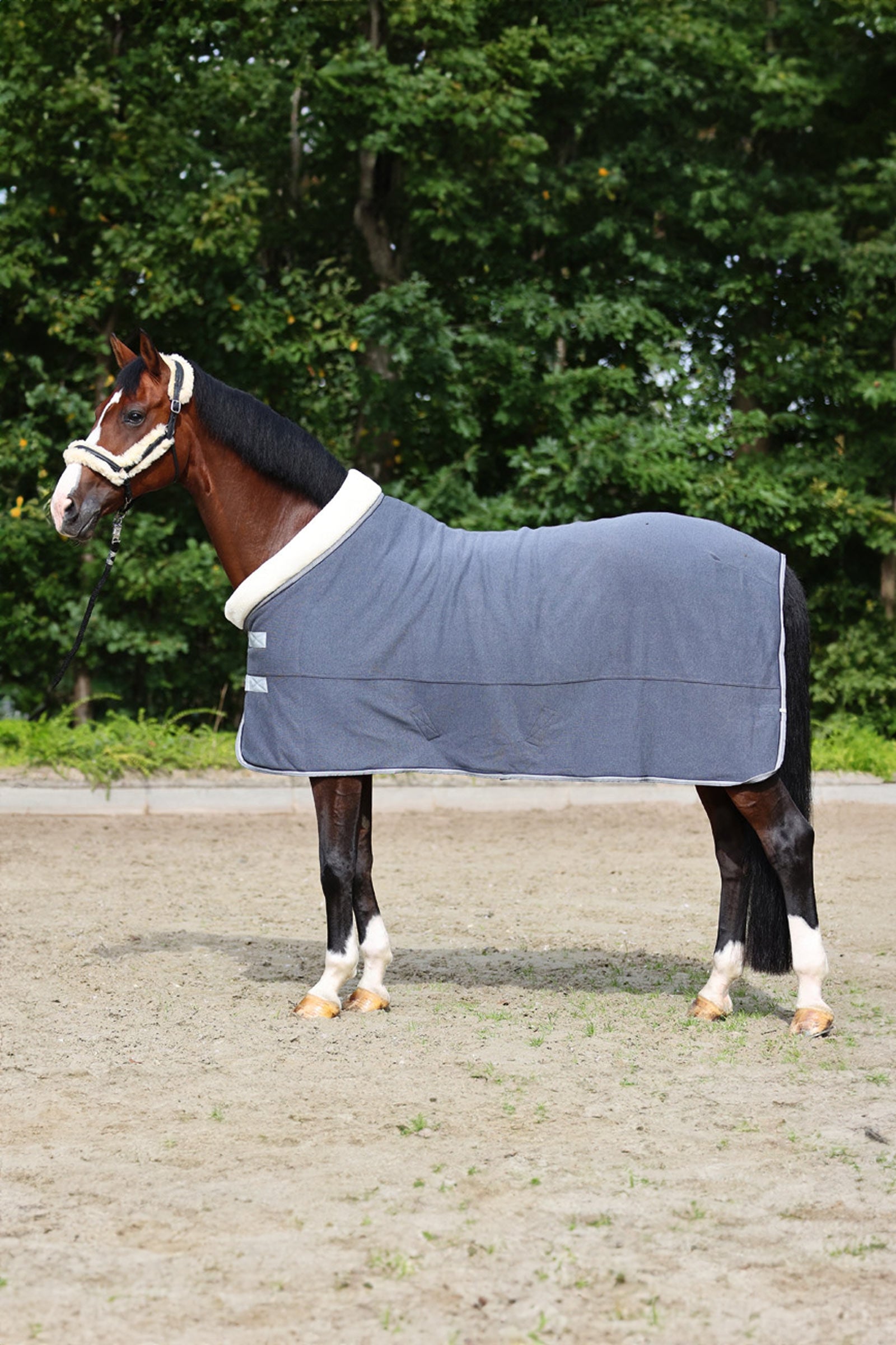 Kavalkade Elegance Couverture de voyage et de refroidissement Couvertures cheval