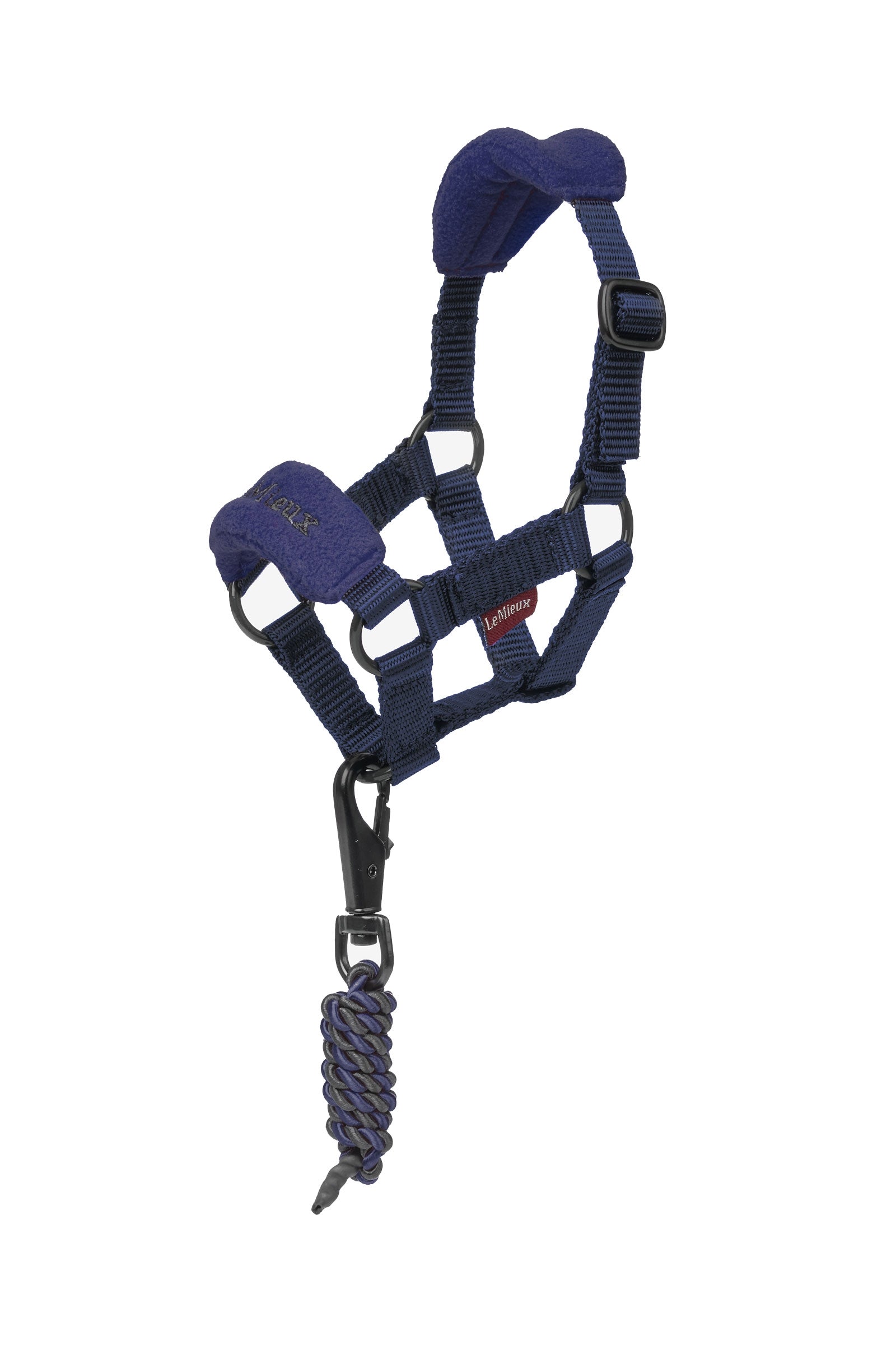 LeMieux Vogue Toy Pony licol et longe Cadeaux