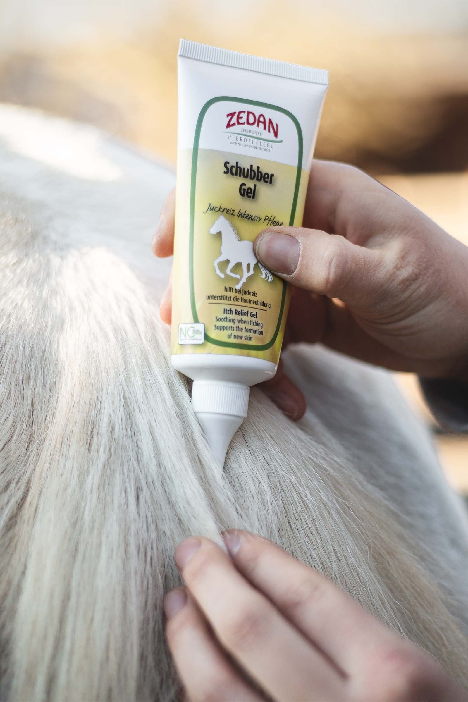 Lifestyle shot 2