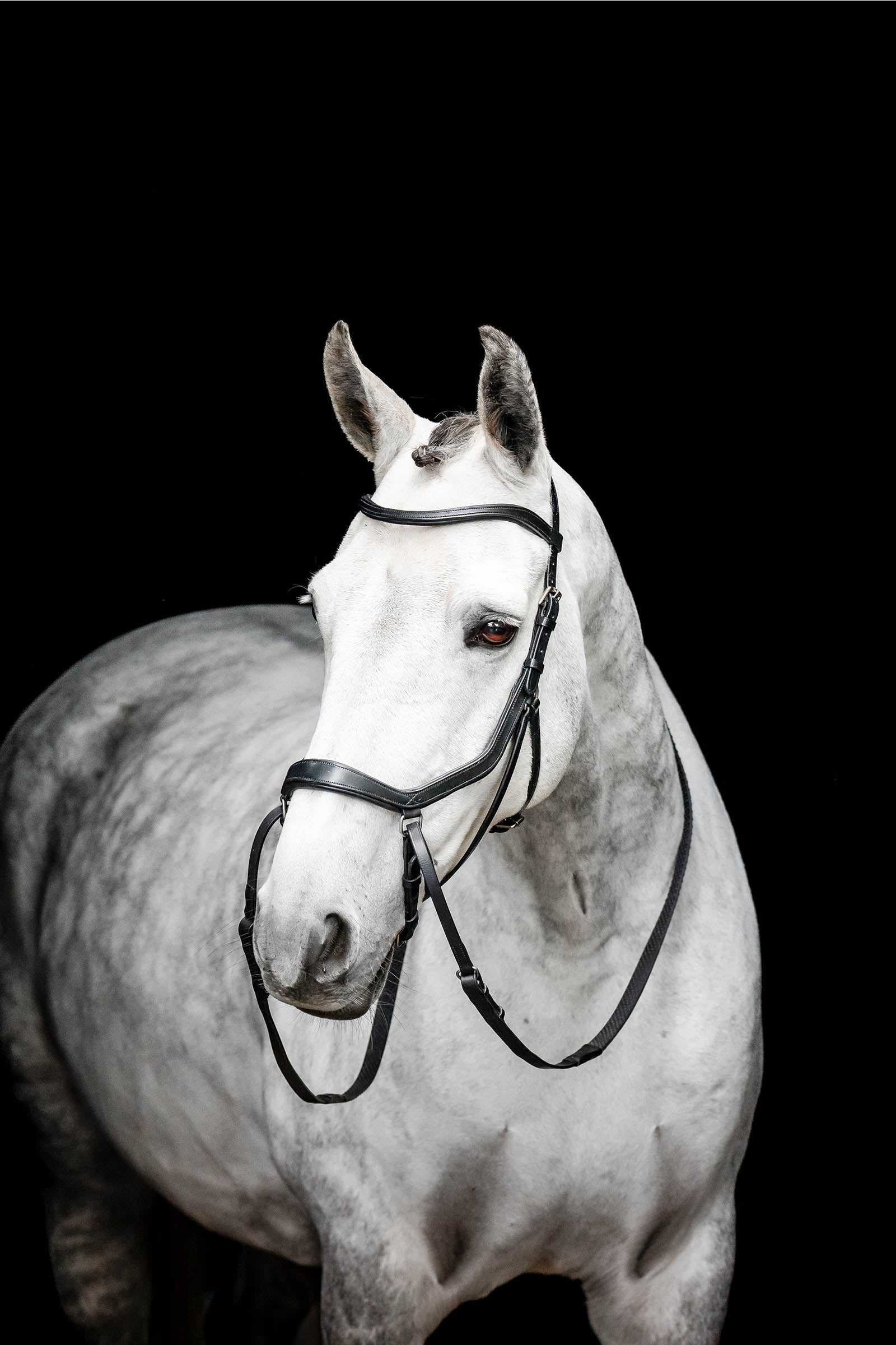 Horseware Micklem bride sans mors Briderie et enrênements