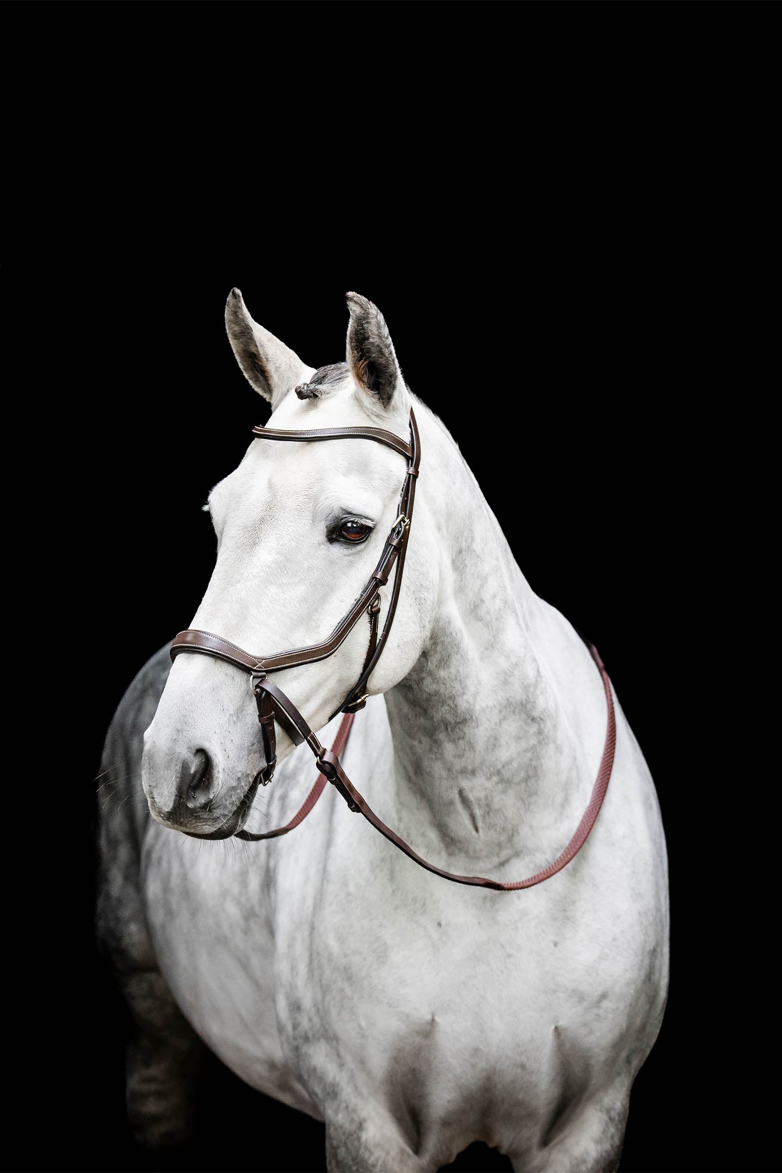 Horseware Micklem bride sans mors Briderie et enrênements