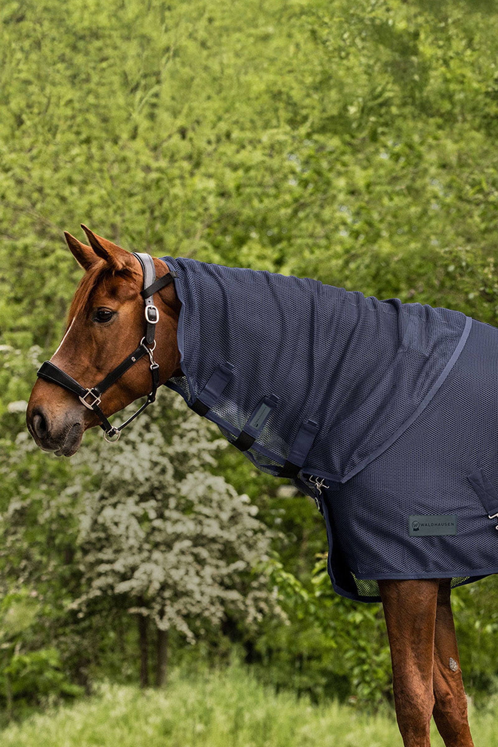 Waldhausen Comfort couvre-cou anti-mouches Couvertures cheval