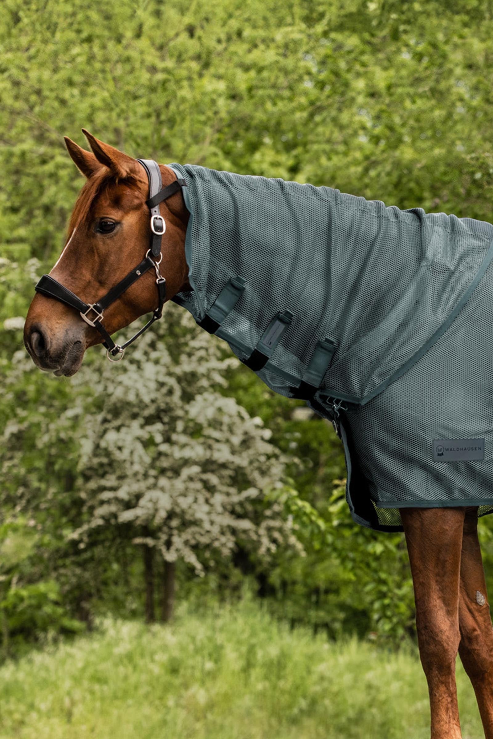 Waldhausen Comfort couvre-cou anti-mouches Couvertures cheval