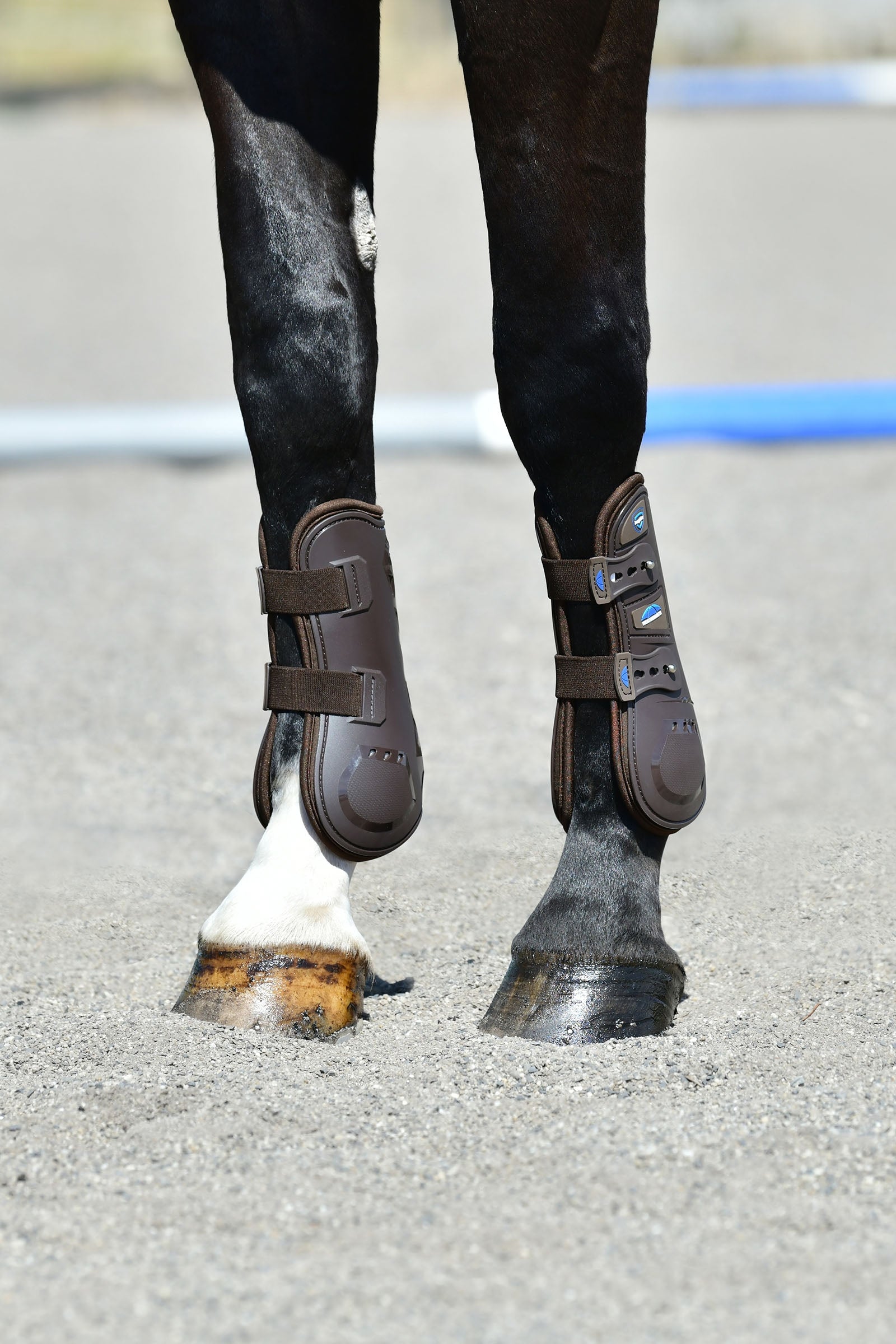 Weatherbeeta Tough-Tec Essential Open Front Boots Leg & Hoof Protection