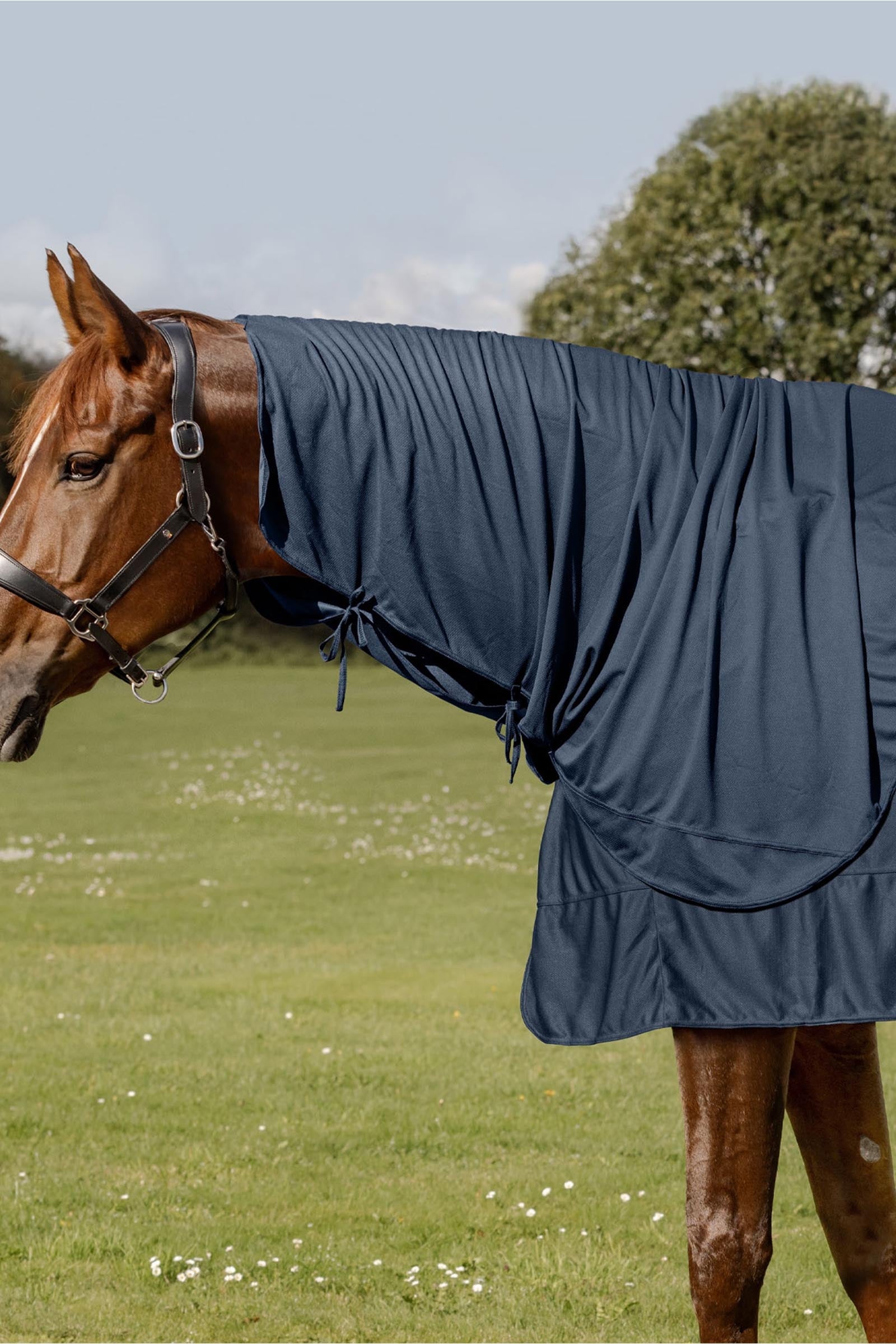 Waldhausen Health + Care Ice Layer Partie du cou Couvertures cheval